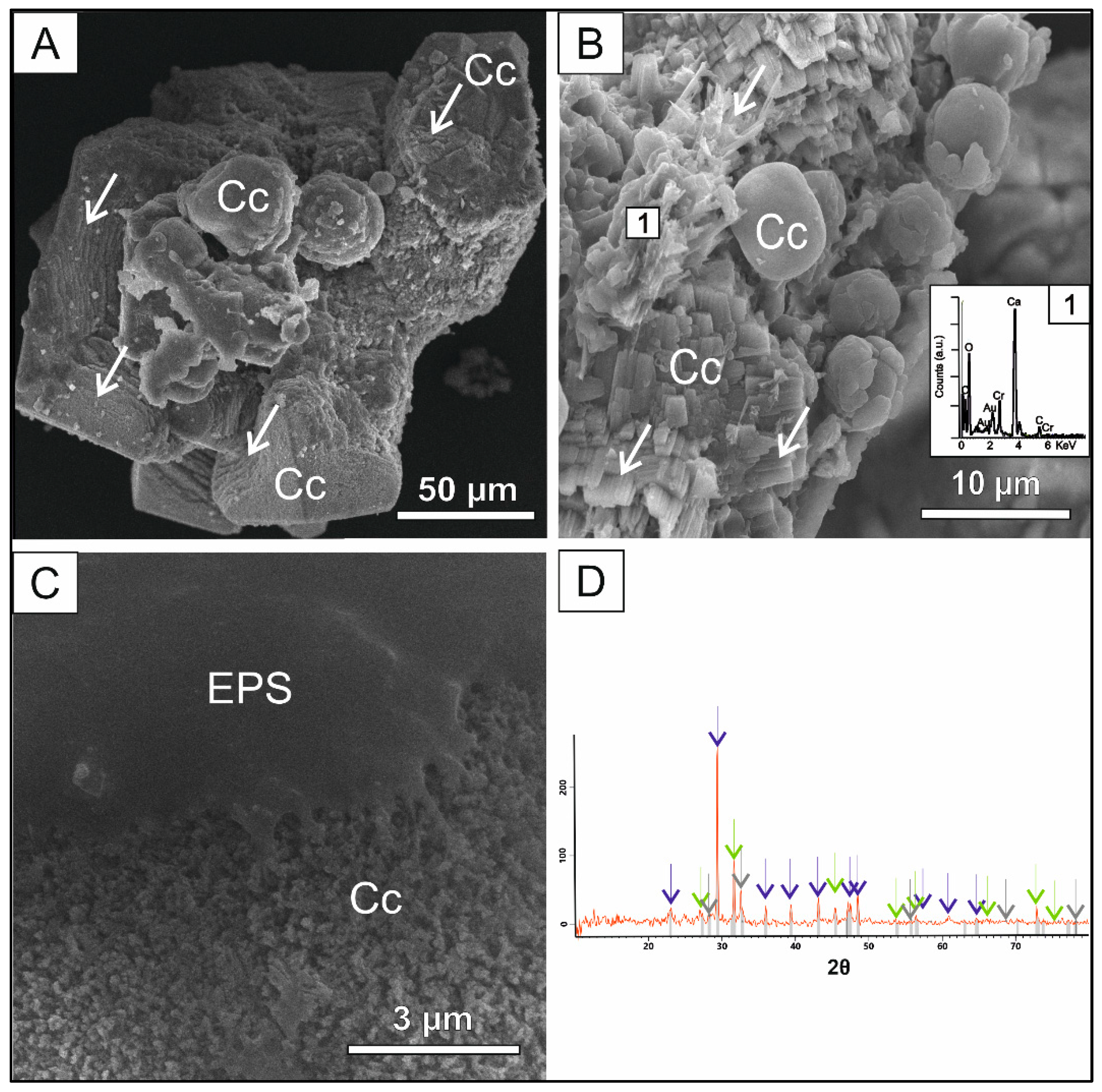 Preprints 70117 g003