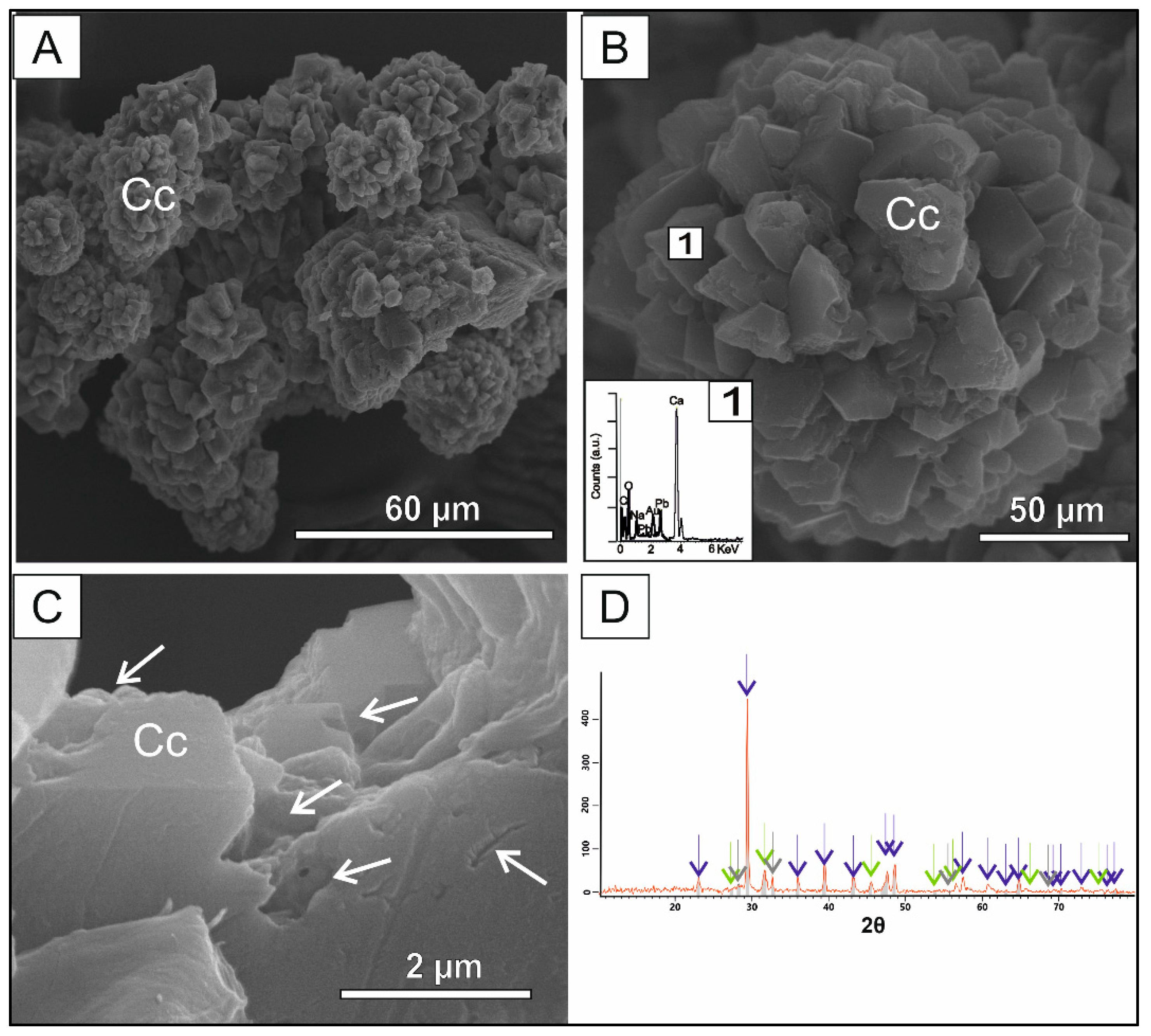 Preprints 70117 g004