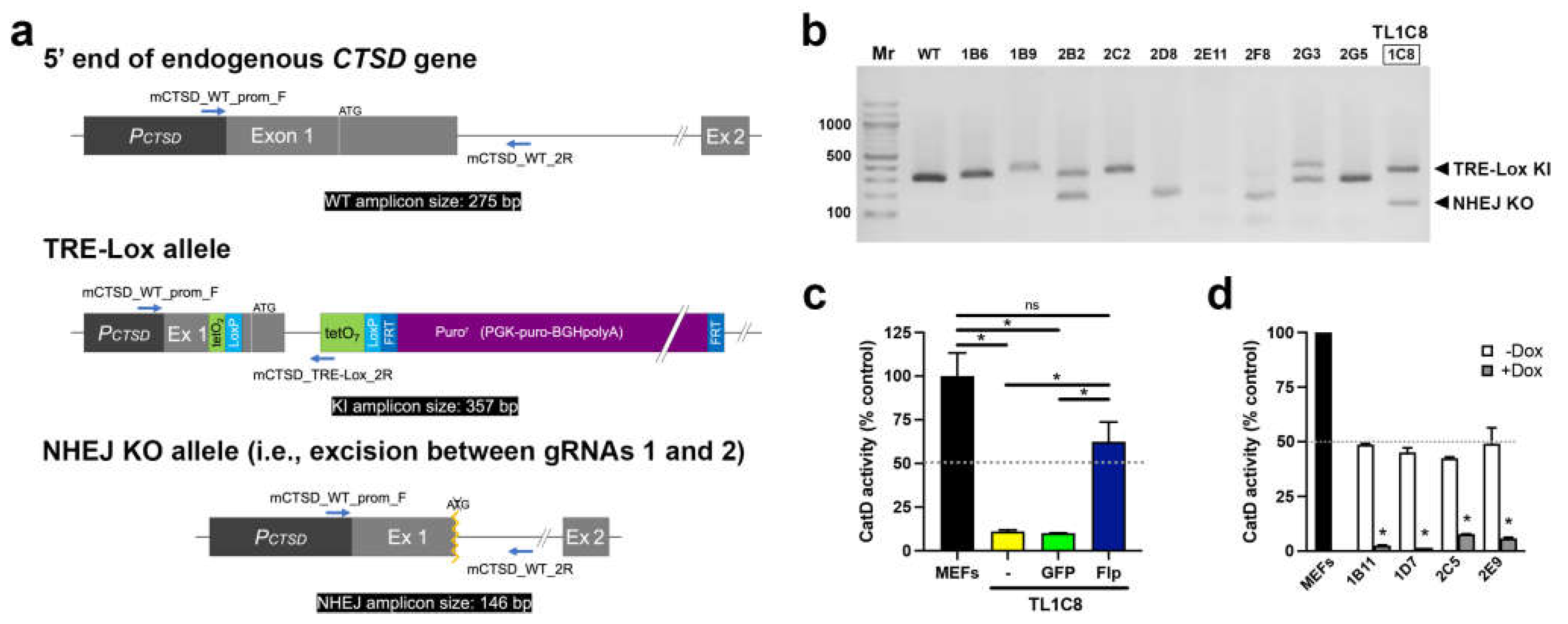 Preprints 70373 g002