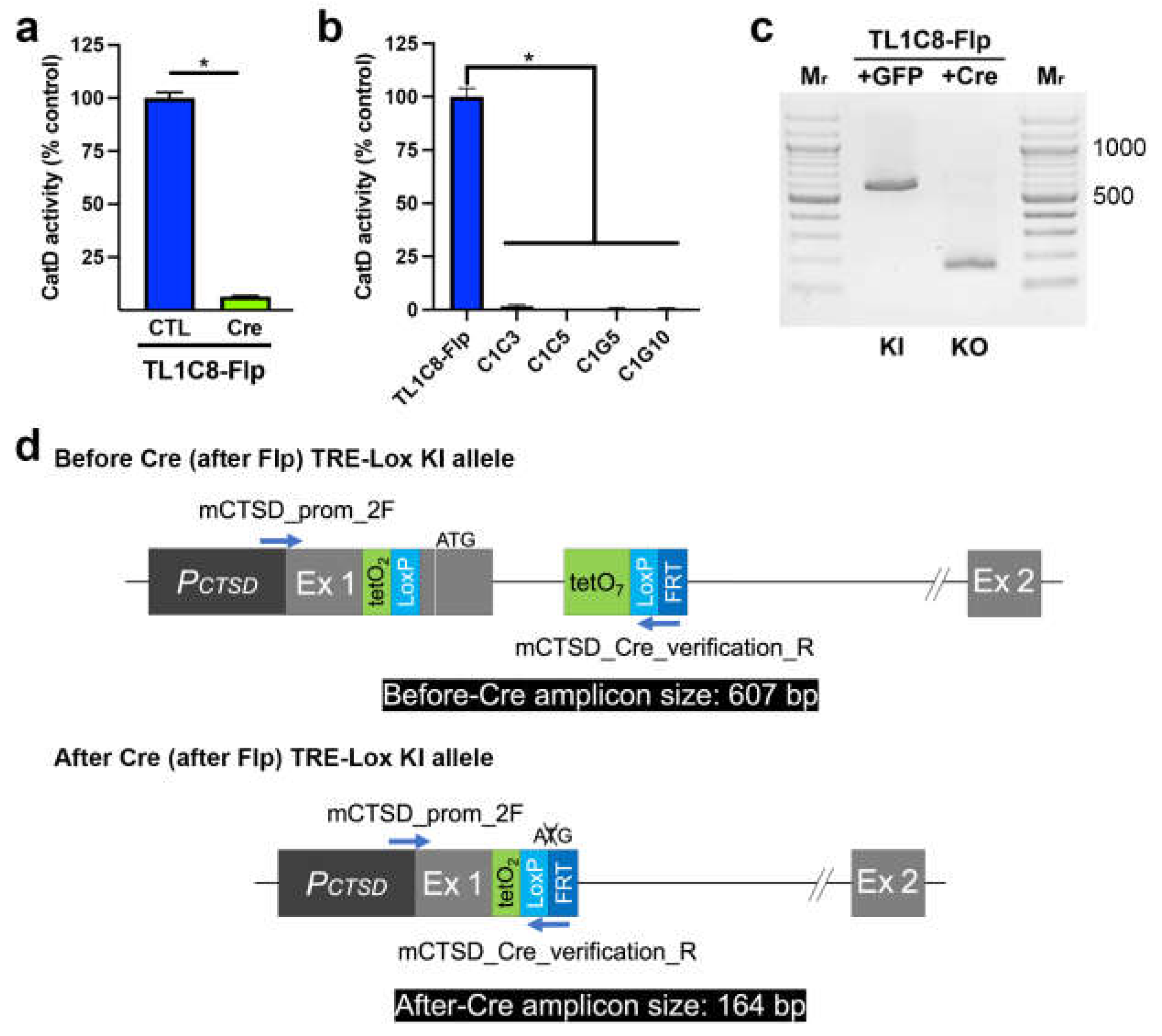 Preprints 70373 g004