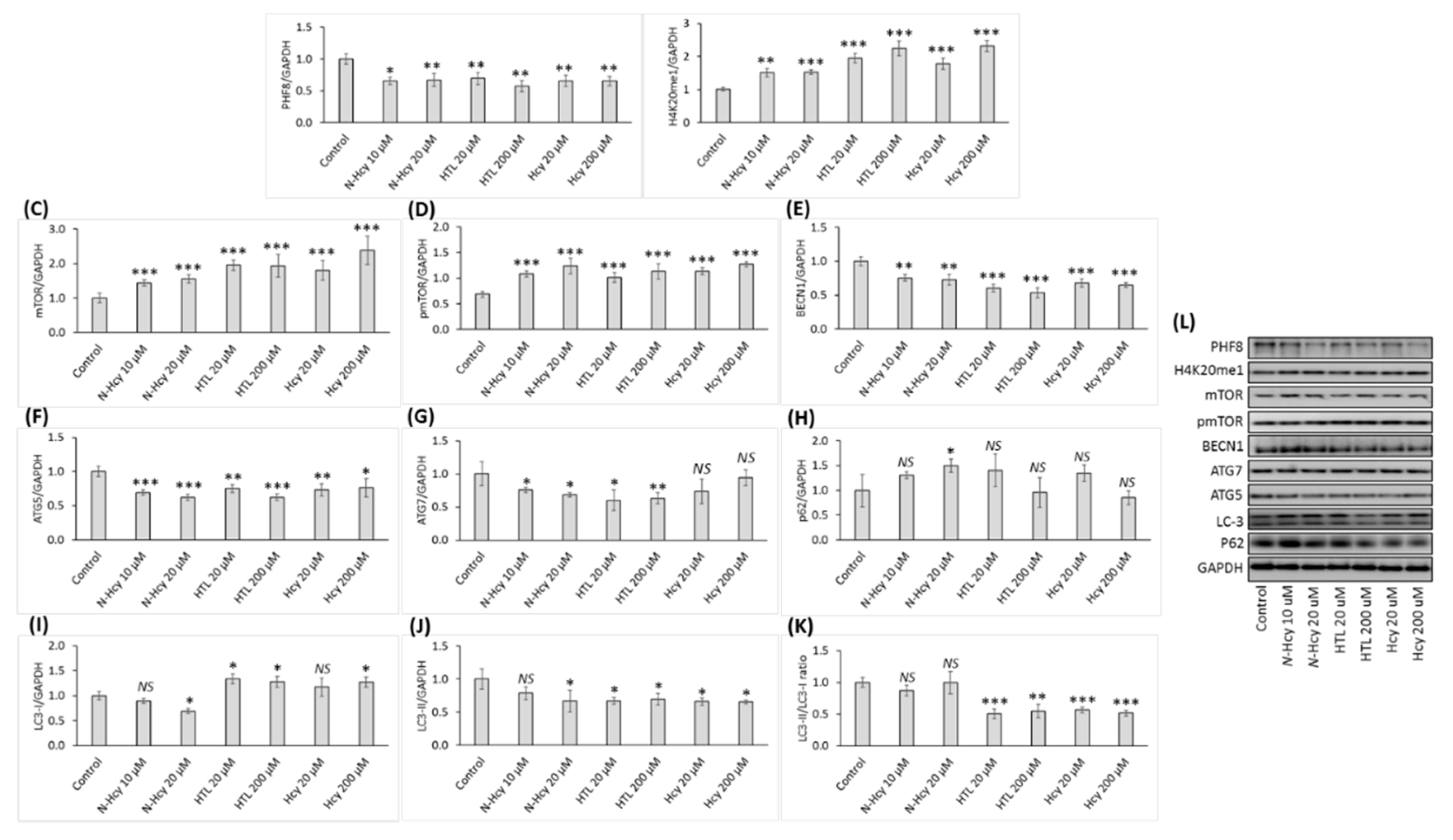 Preprints 77870 g001