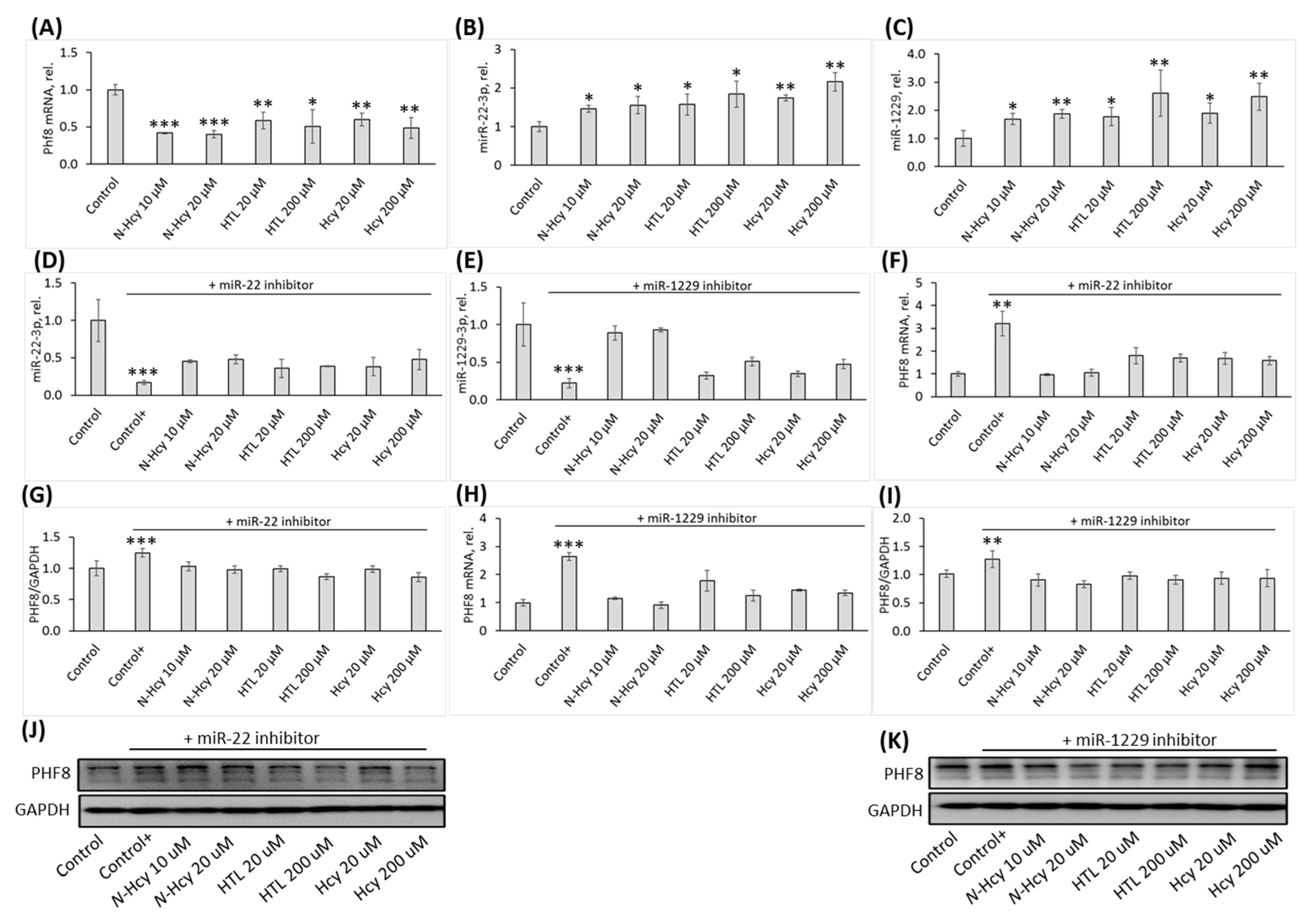 Preprints 77870 g002