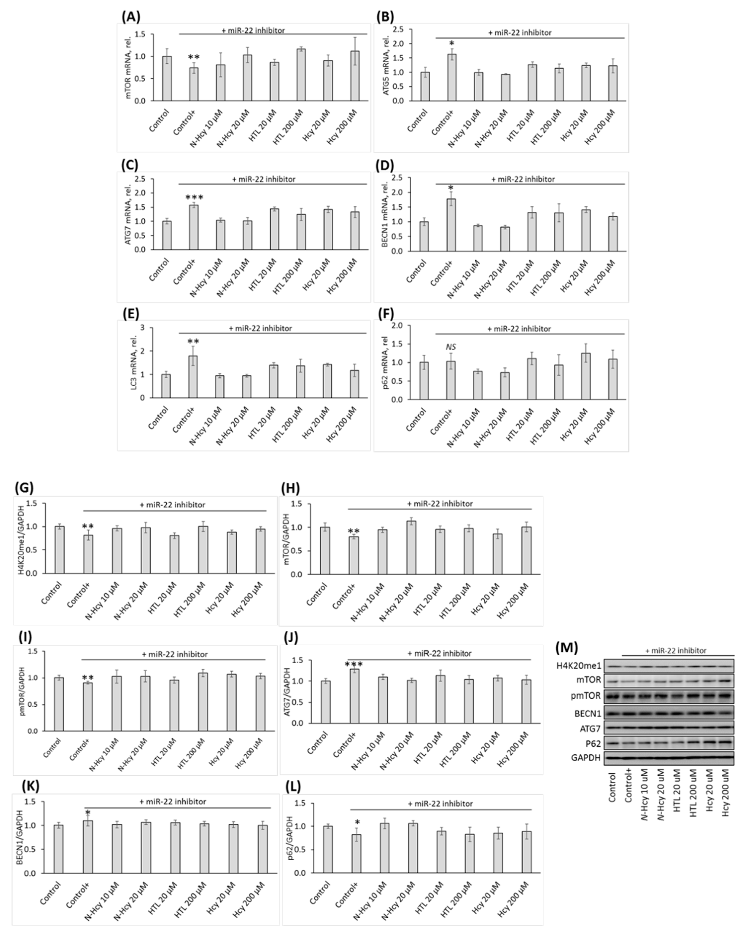 Preprints 77870 g004