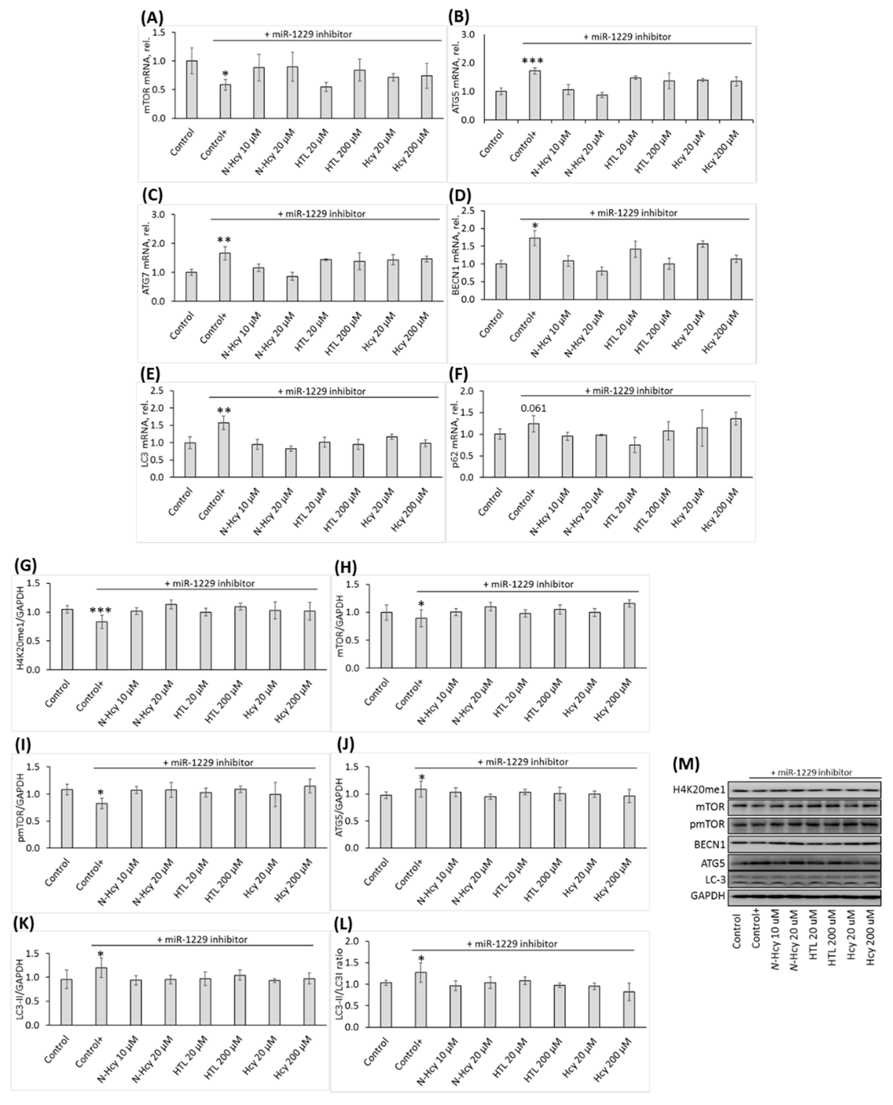 Preprints 77870 g005