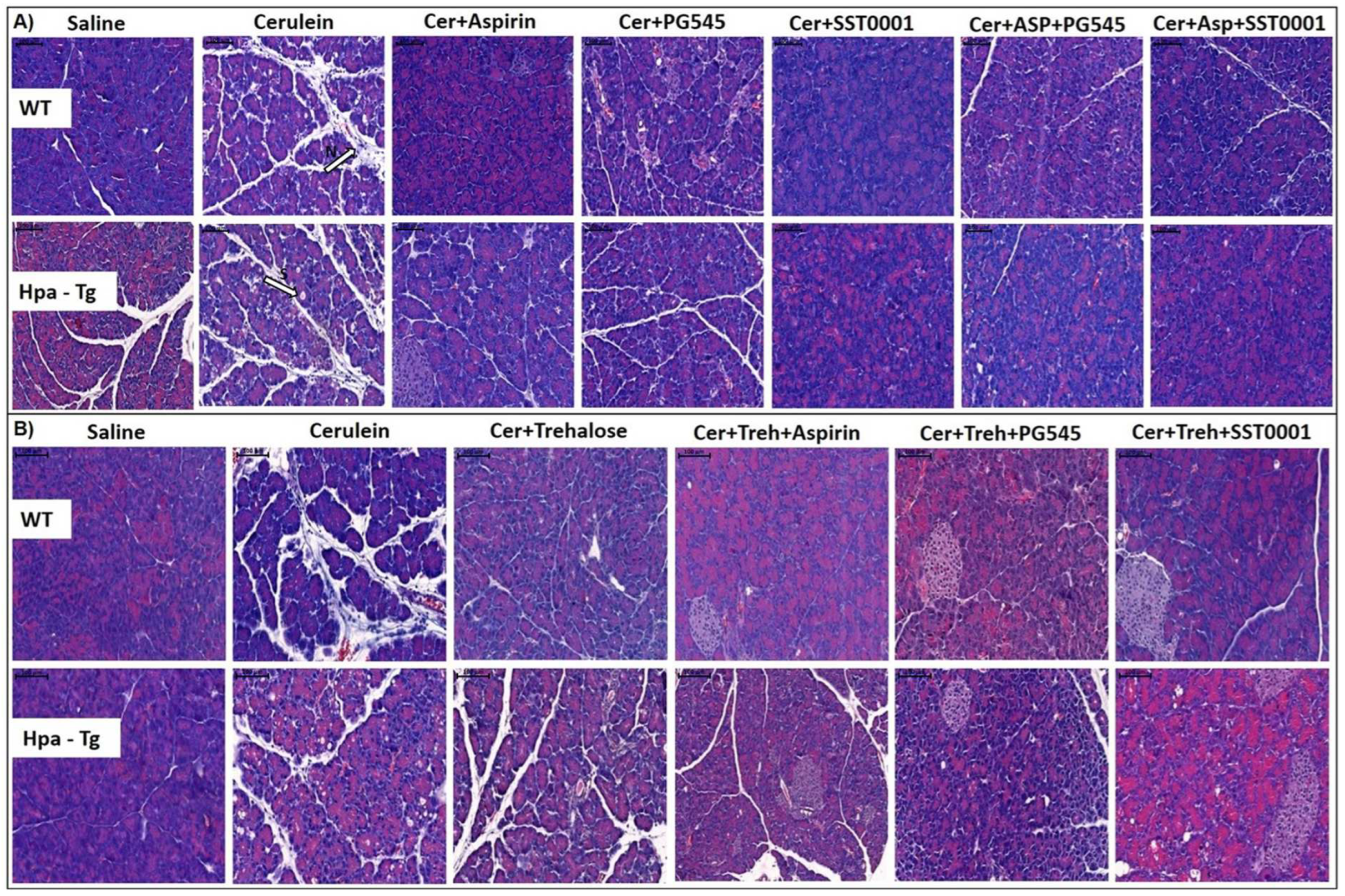 Preprints 86636 g003