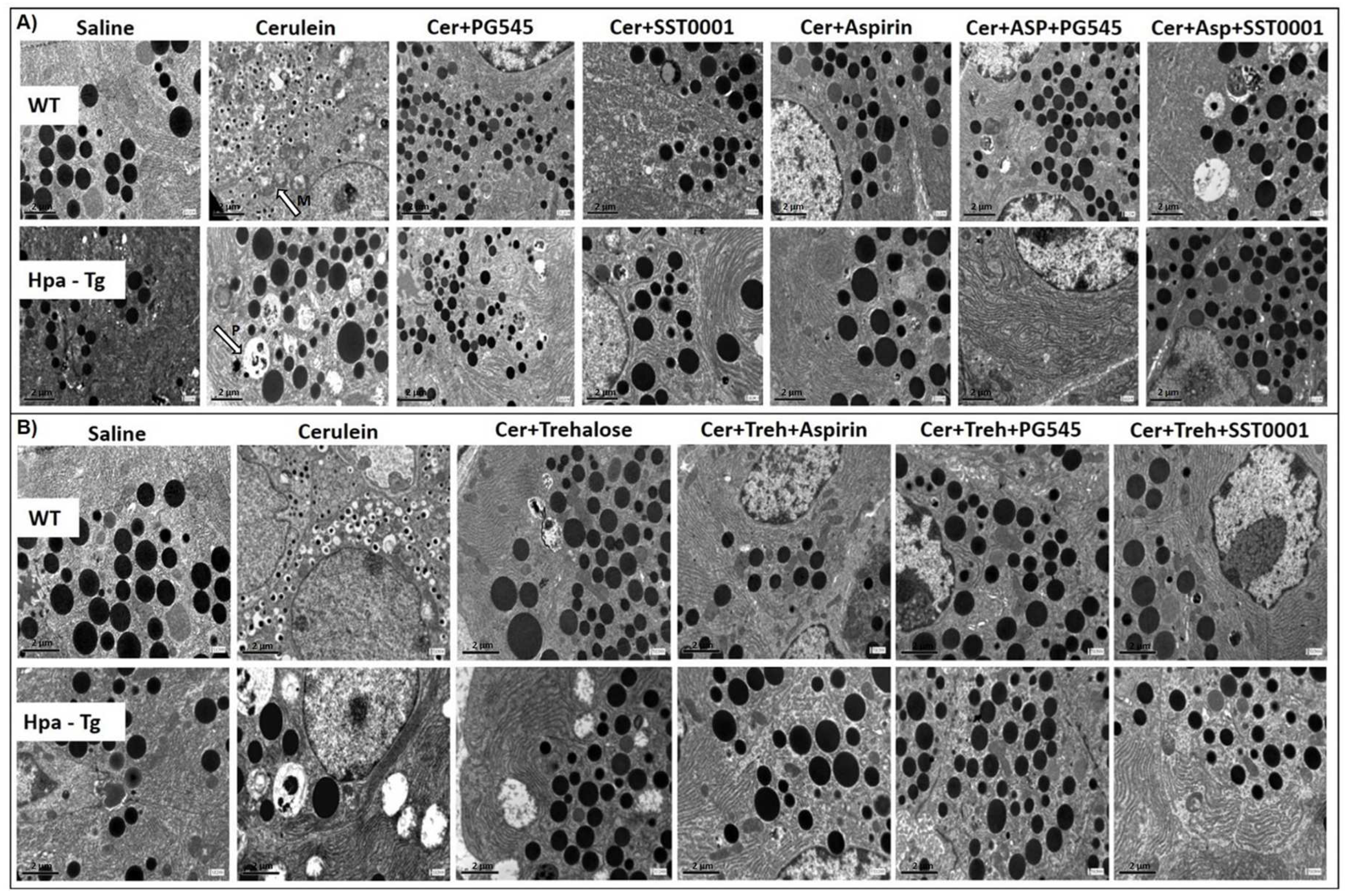 Preprints 86636 g004