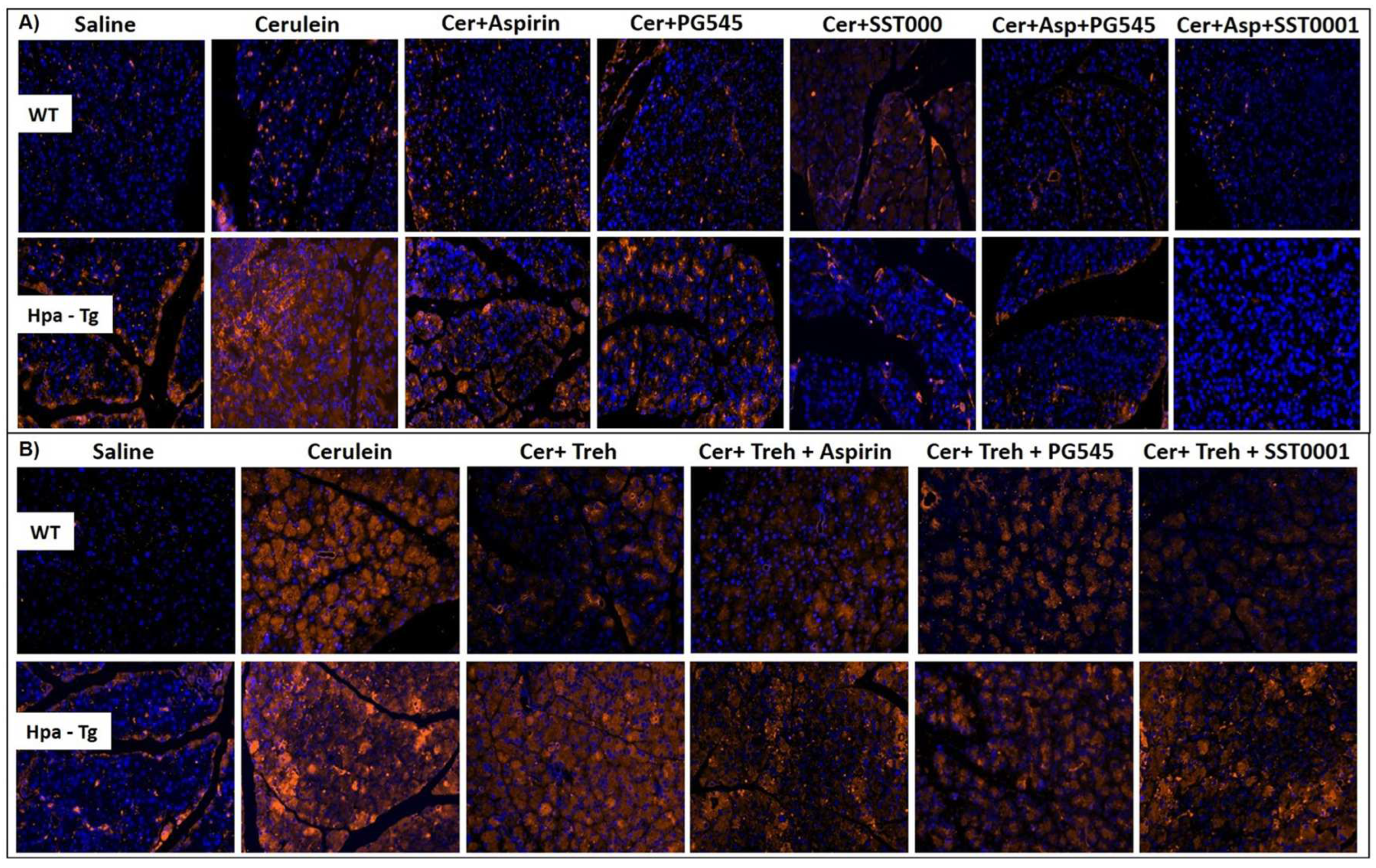 Preprints 86636 g007