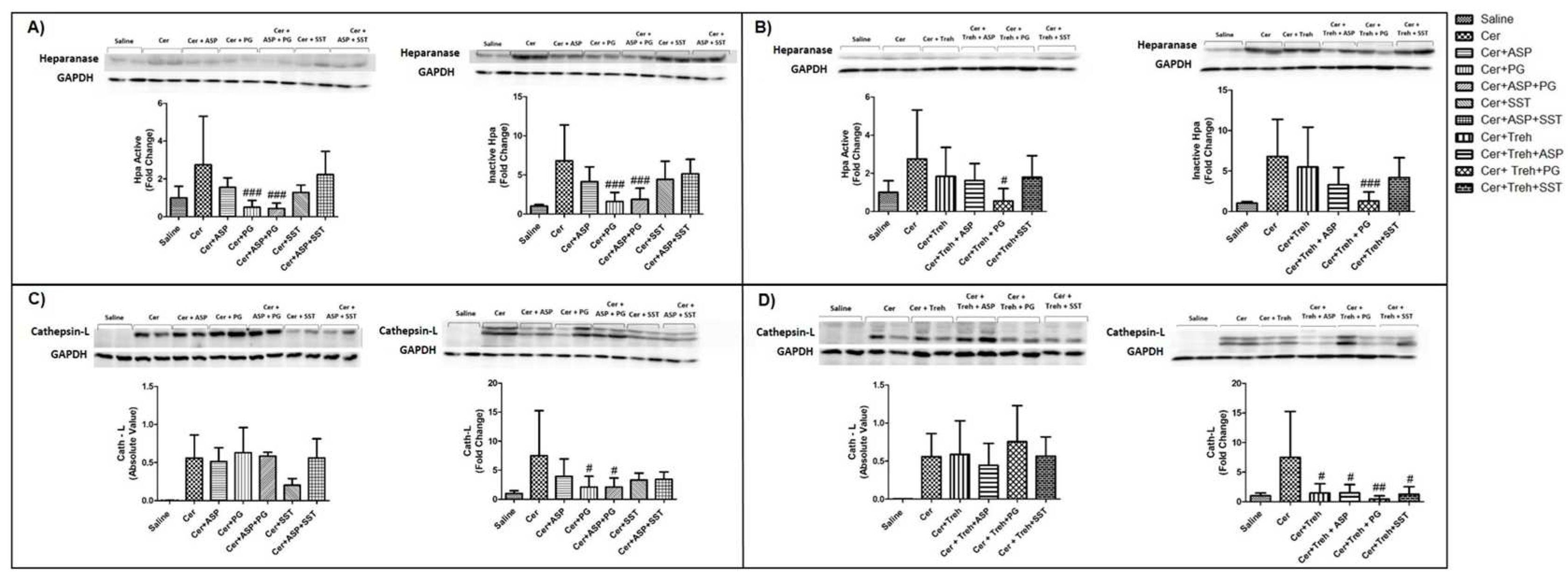 Preprints 86636 g008