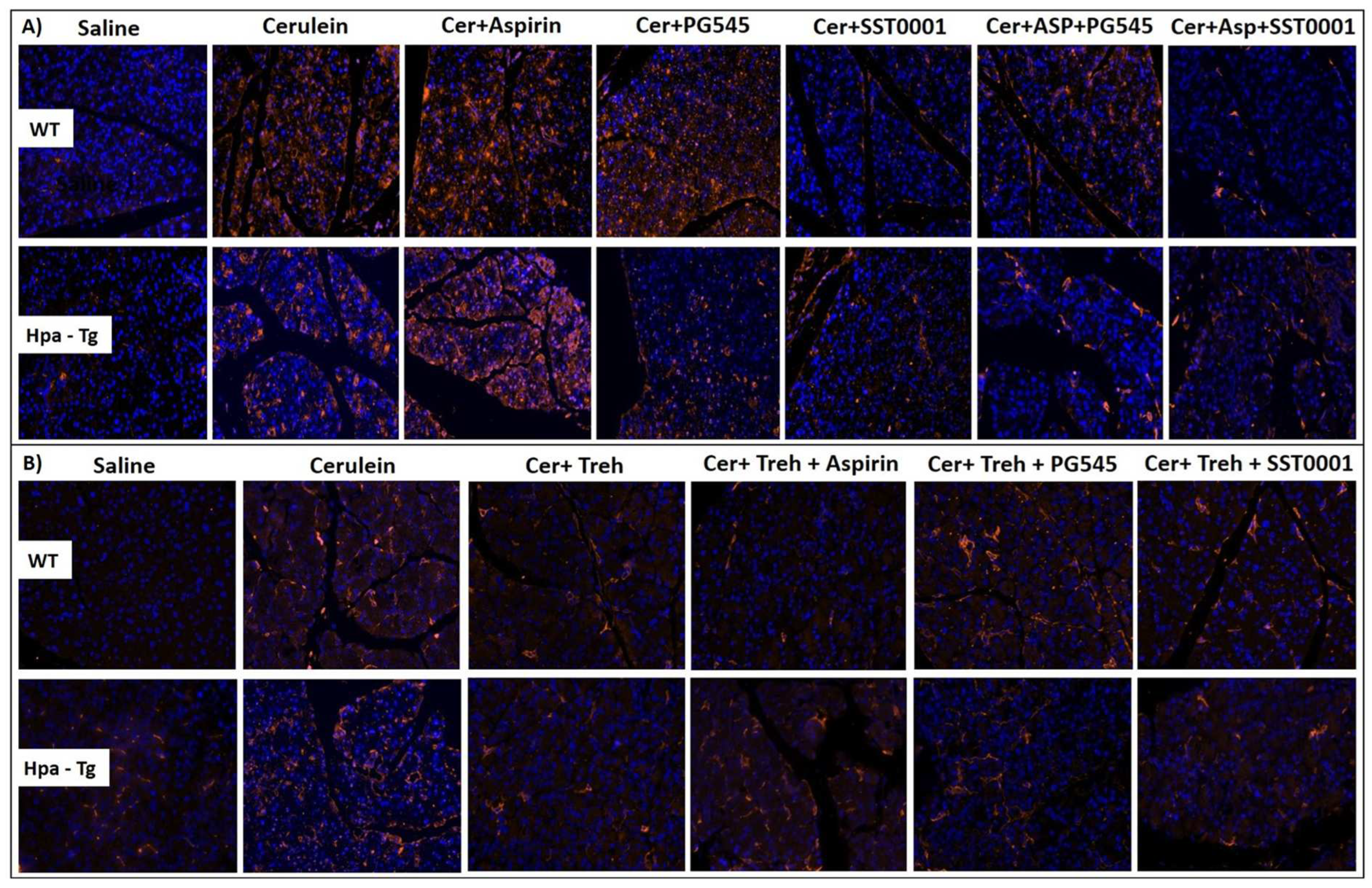 Preprints 86636 g009