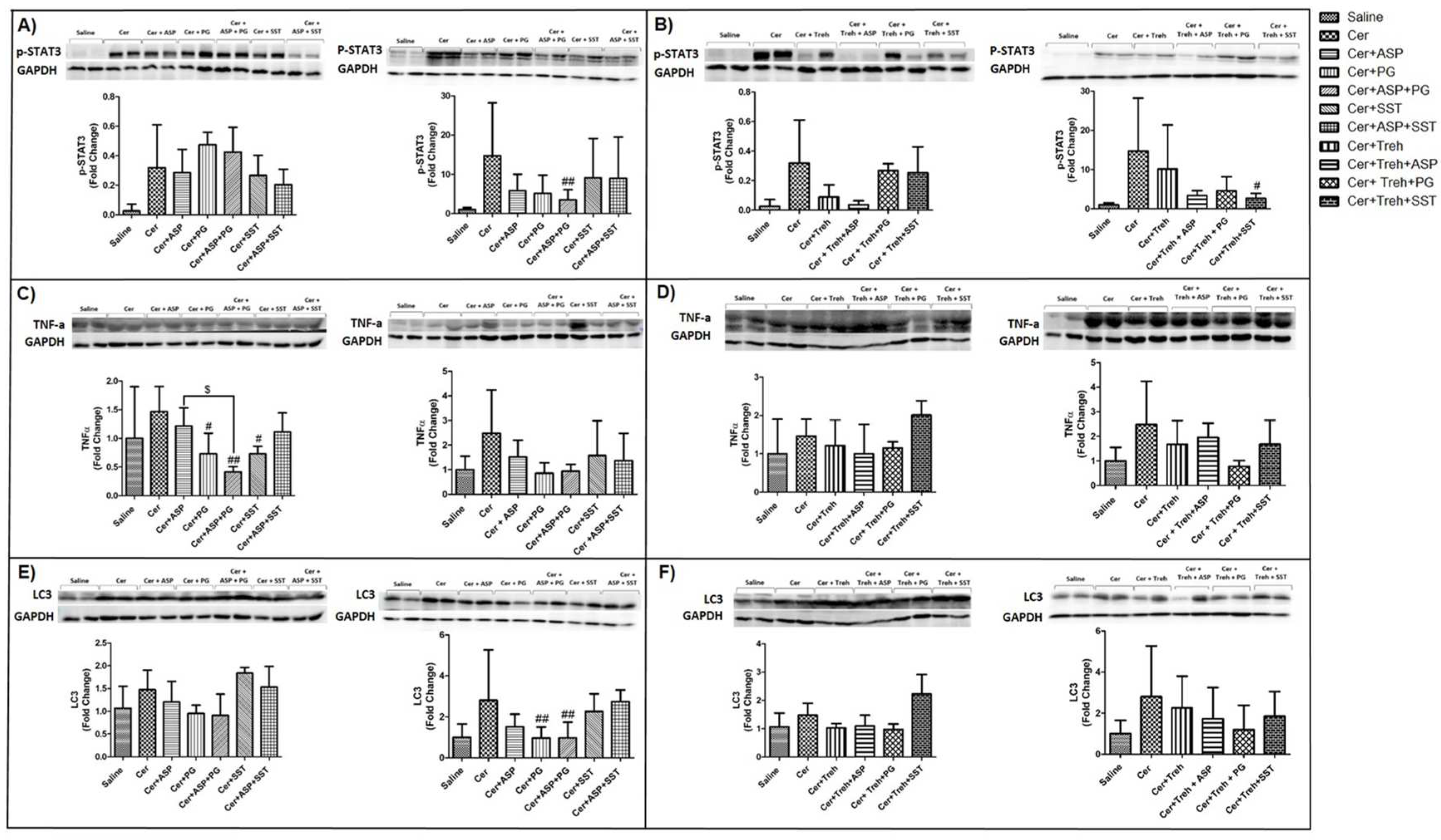 Preprints 86636 g010