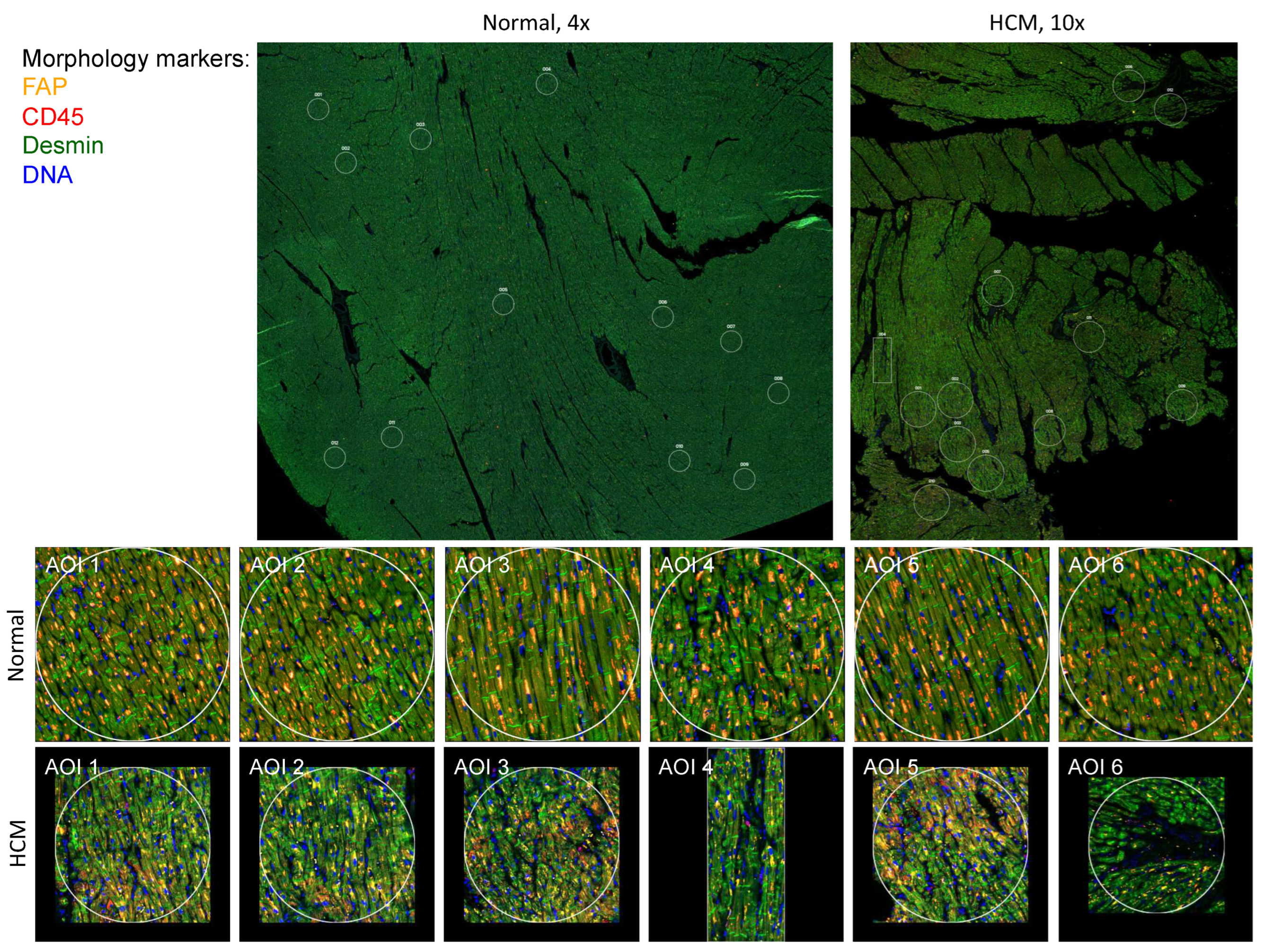 Preprints 78449 g001