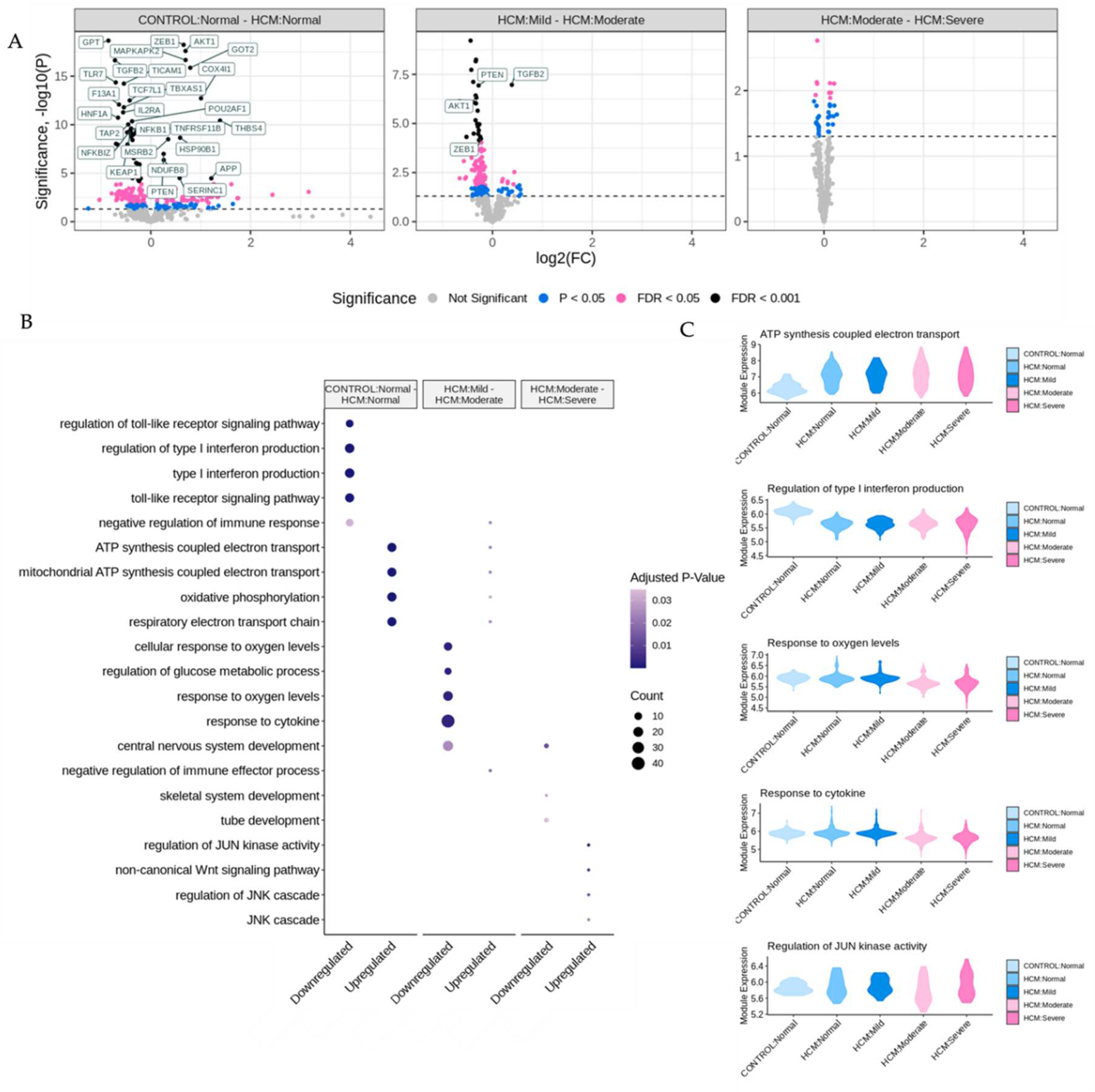 Preprints 78449 g003