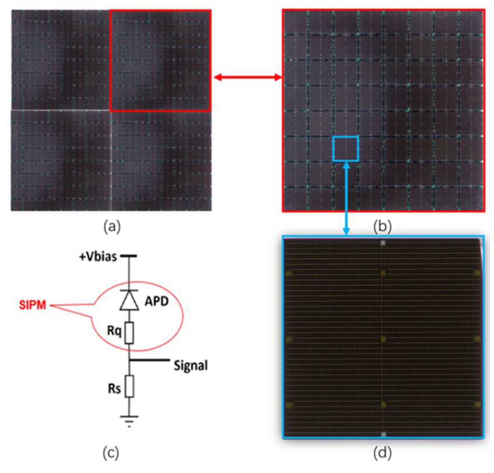 Preprints 104372 g006