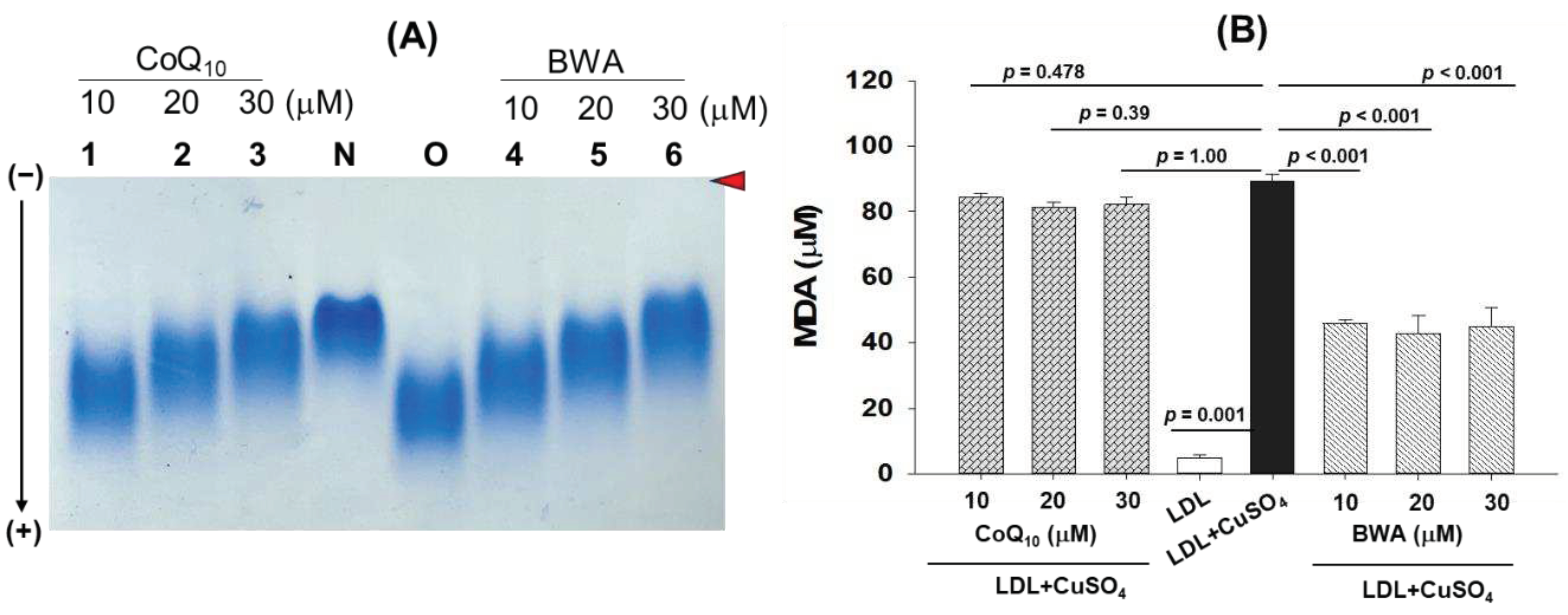 Preprints 89895 g003