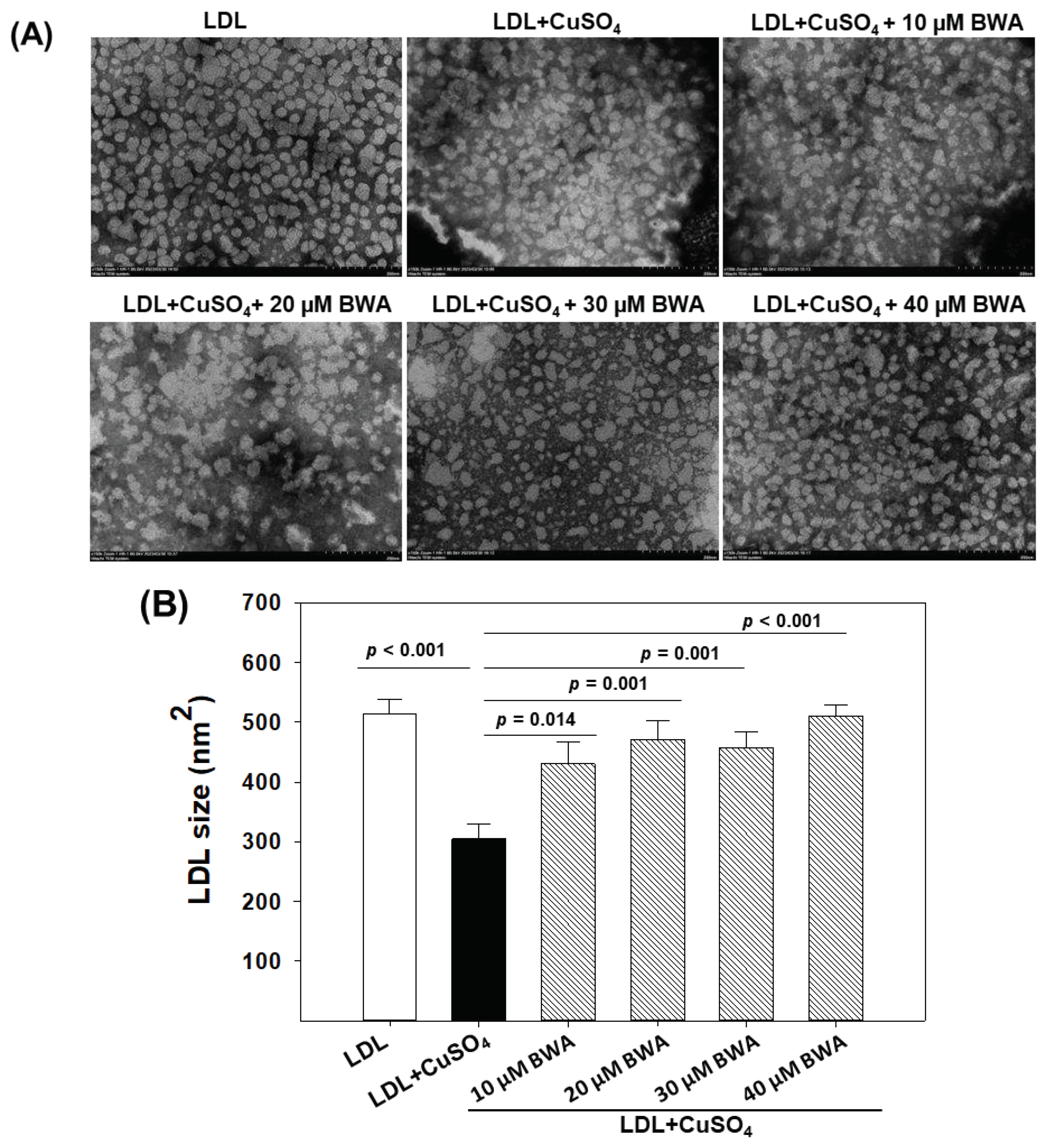 Preprints 89895 g004