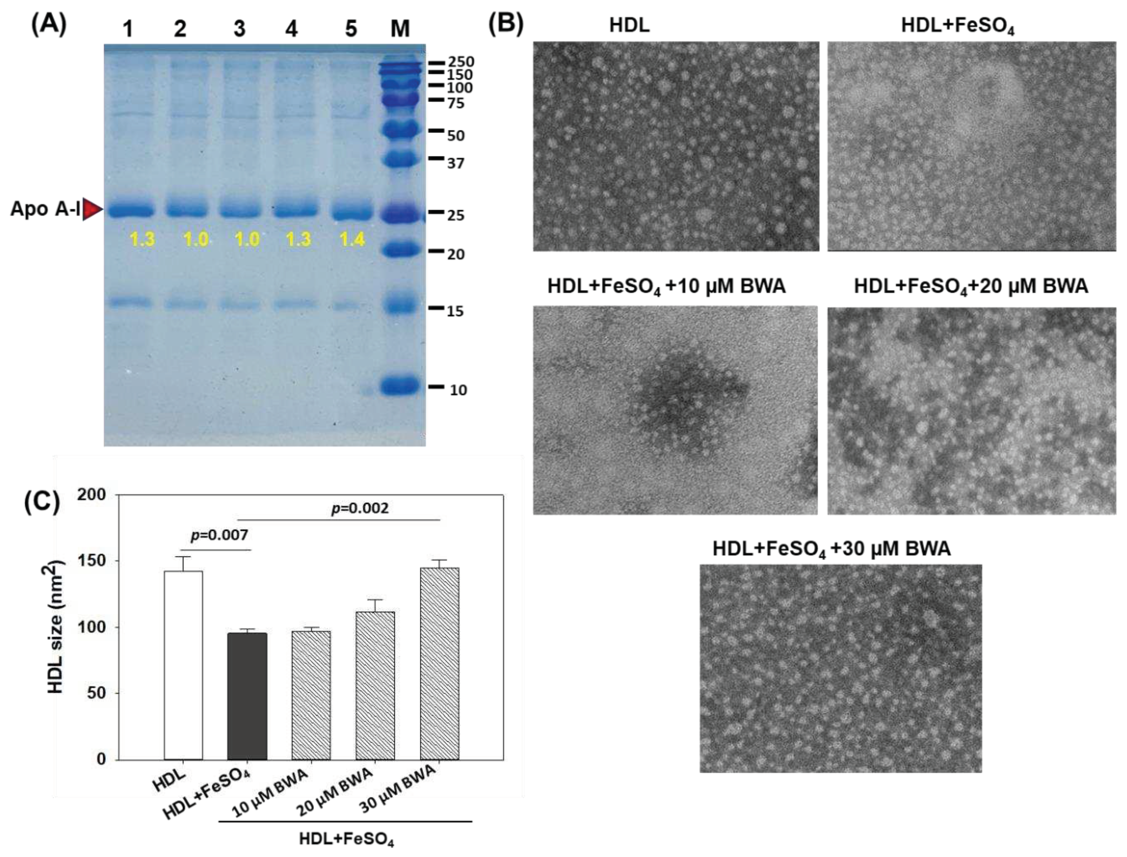 Preprints 89895 g005