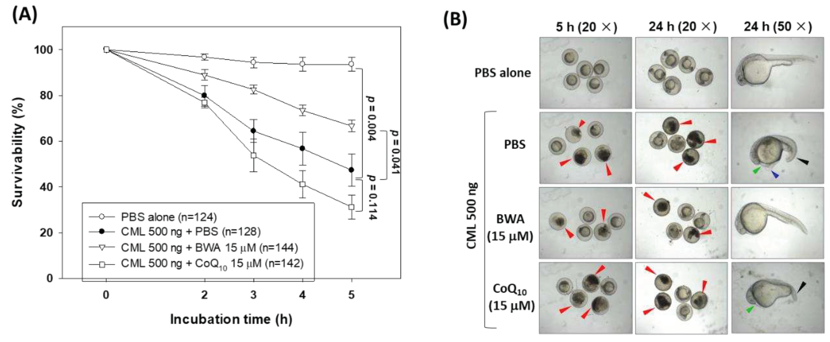 Preprints 89895 g006a