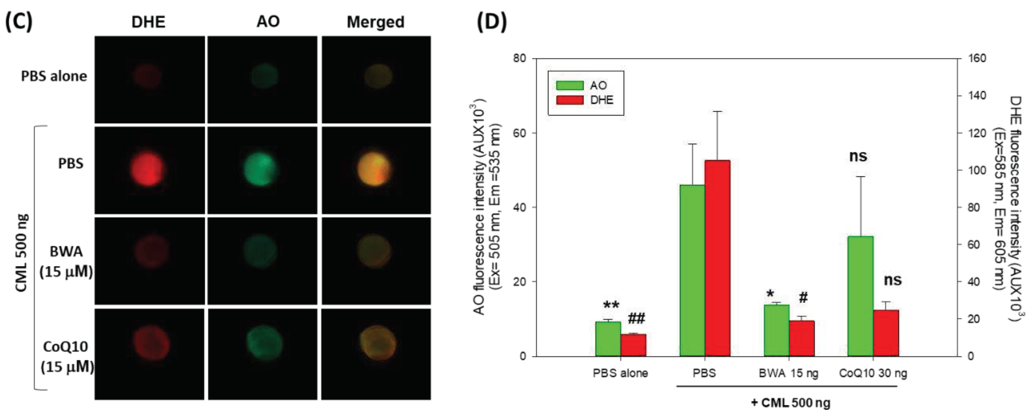 Preprints 89895 g006b