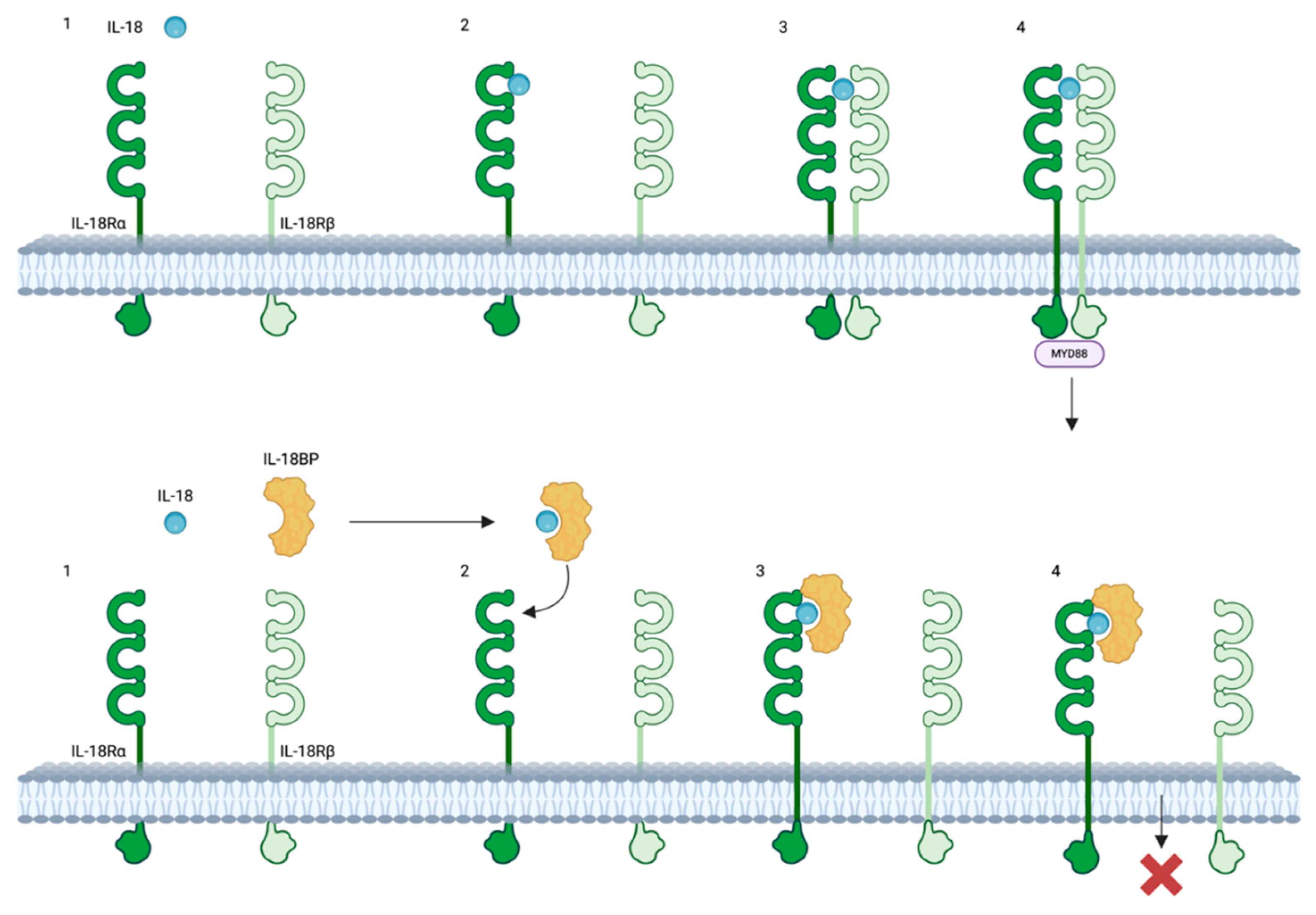 Preprints 109506 g001