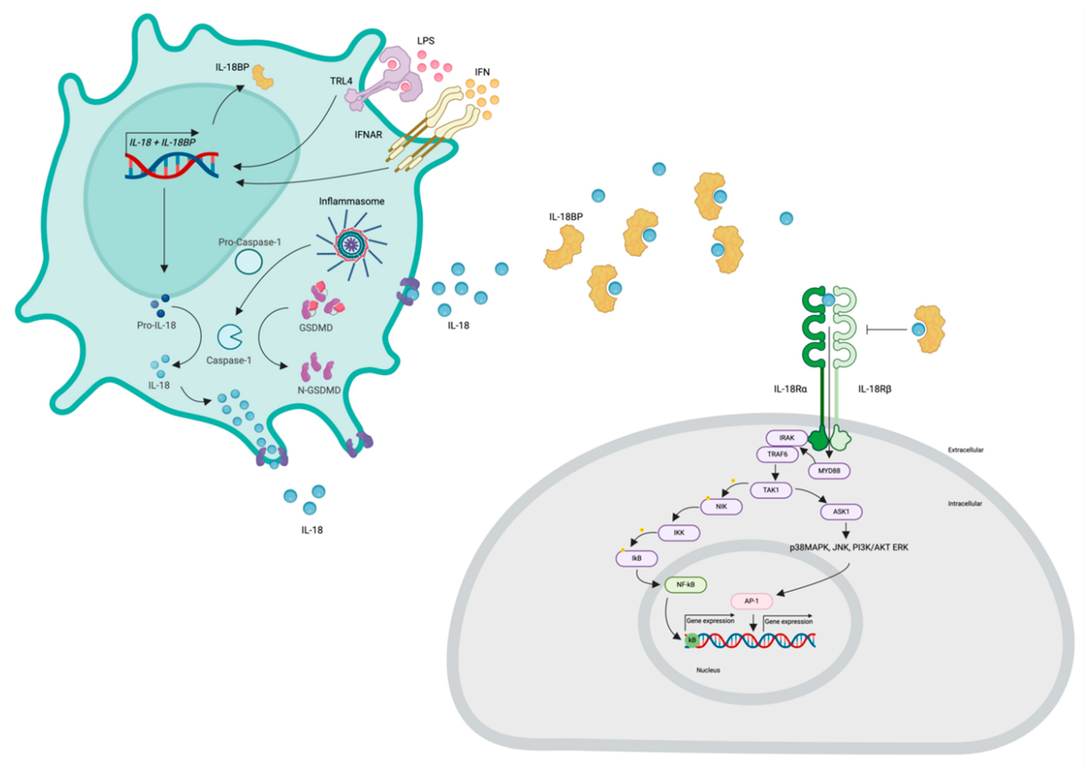 Preprints 109506 g002