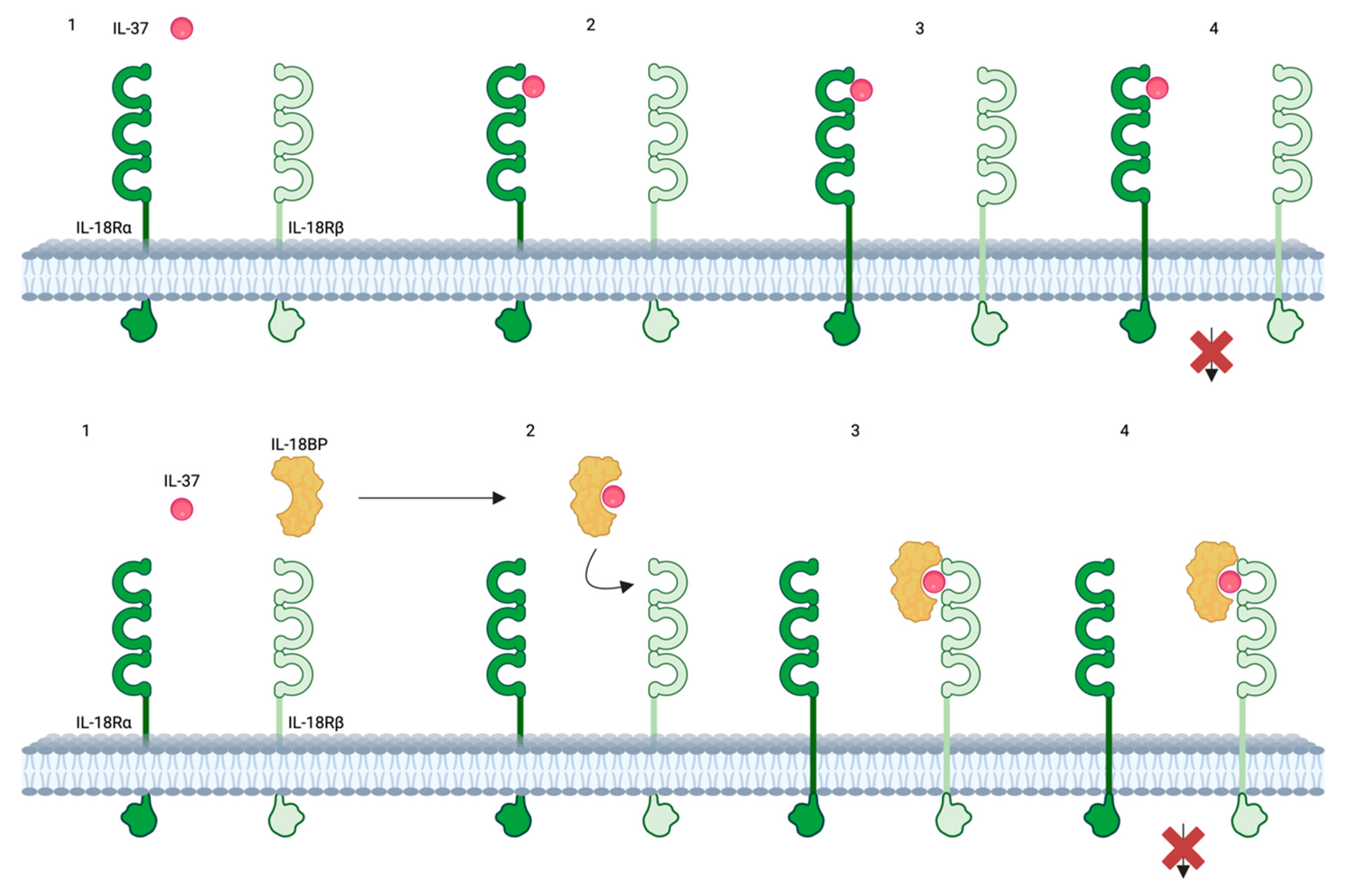 Preprints 109506 g003