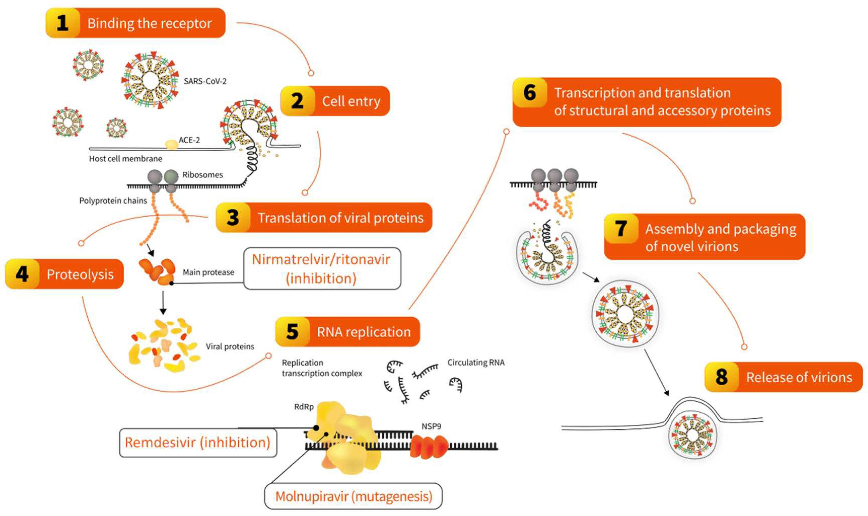 Preprints 82563 g003