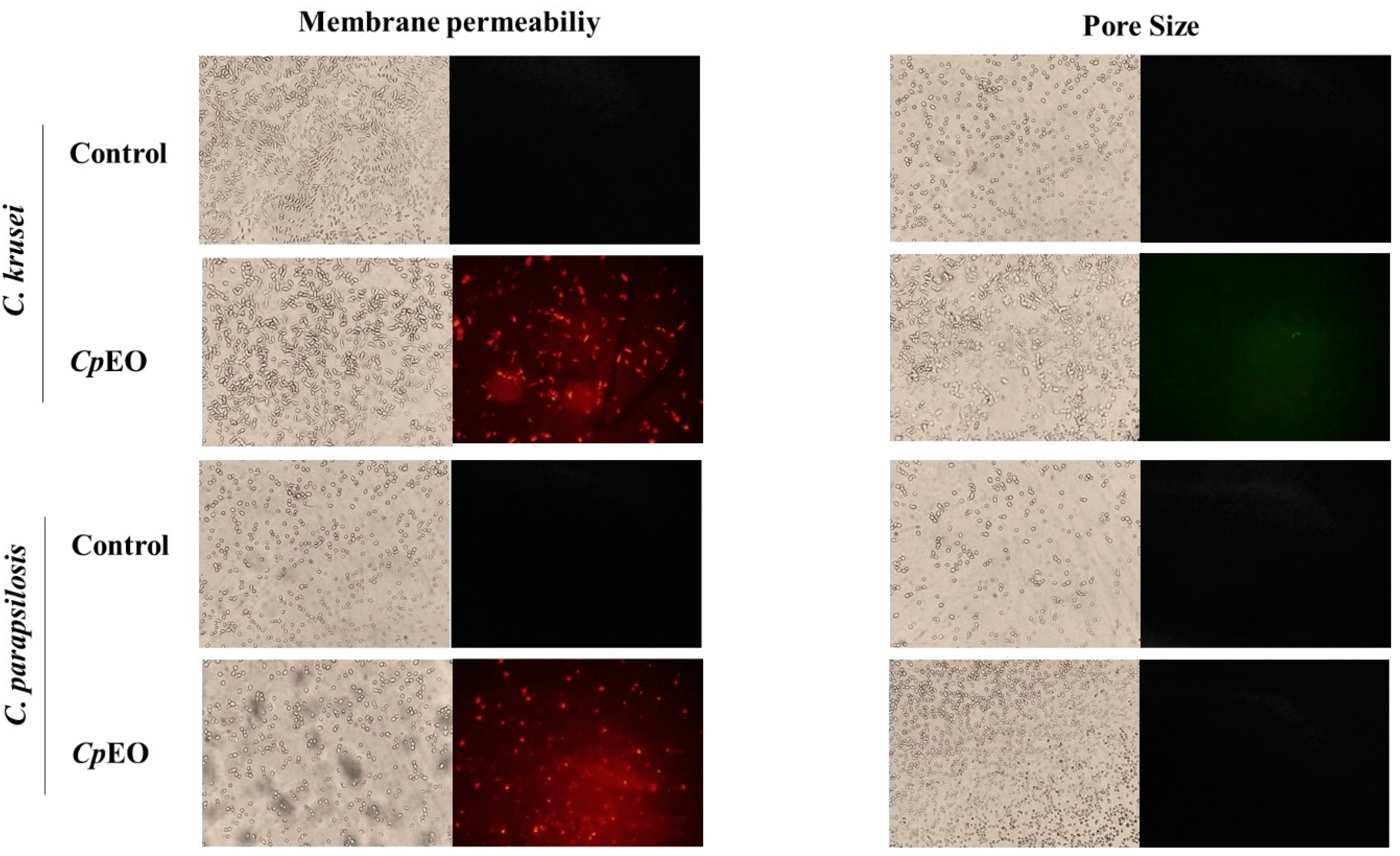 Preprints 73133 g002