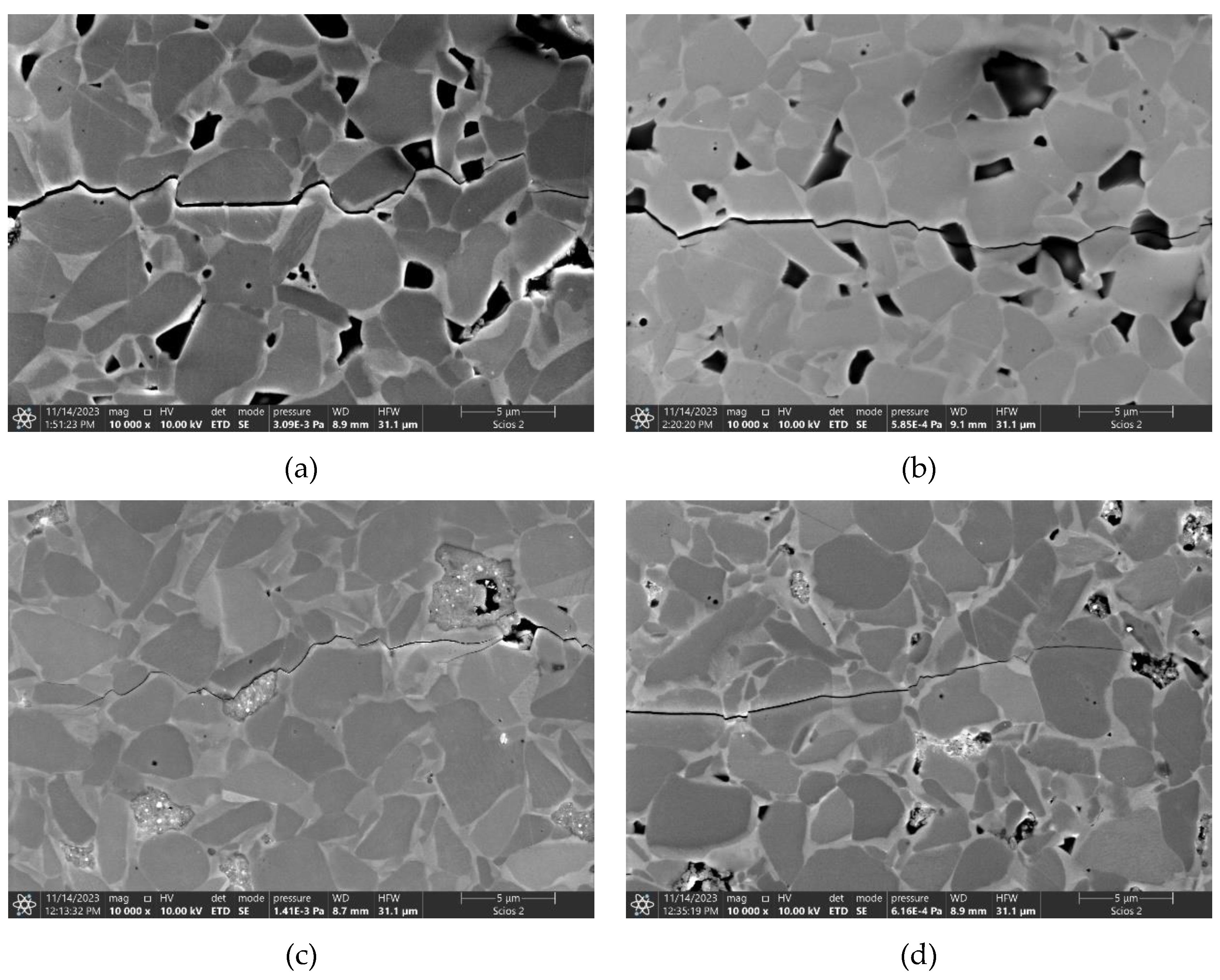 Preprints 94511 g014a