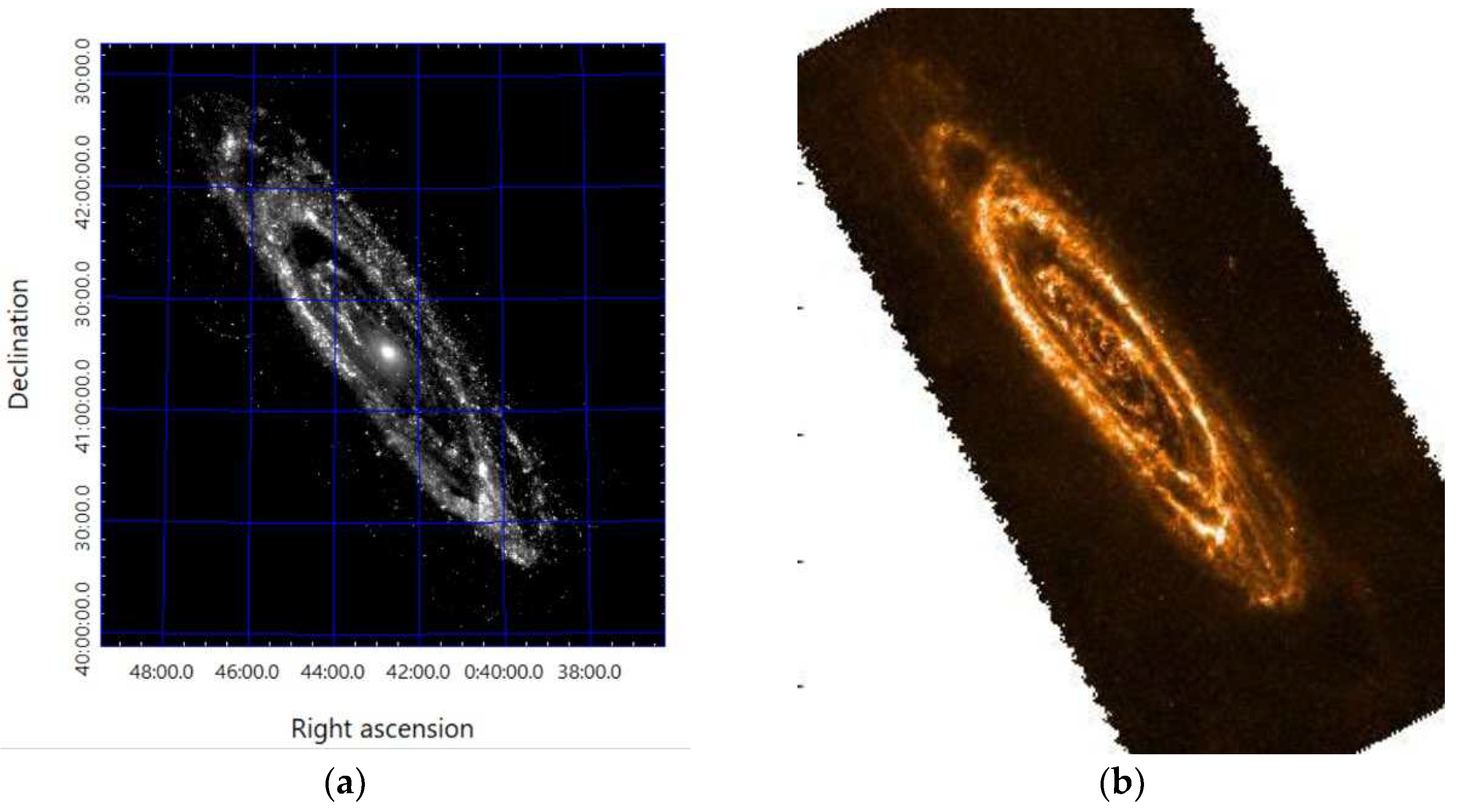 Preprints 74064 g002