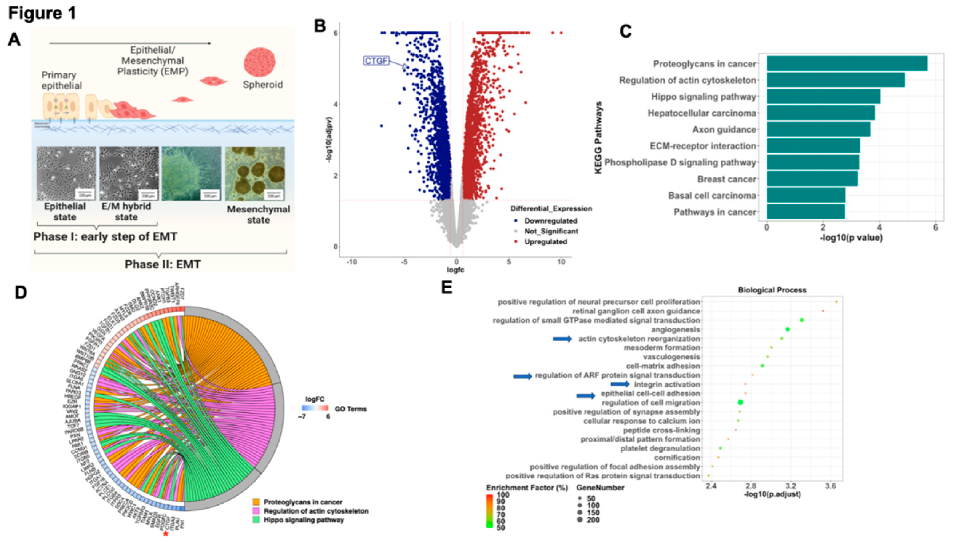 Preprints 83499 g001