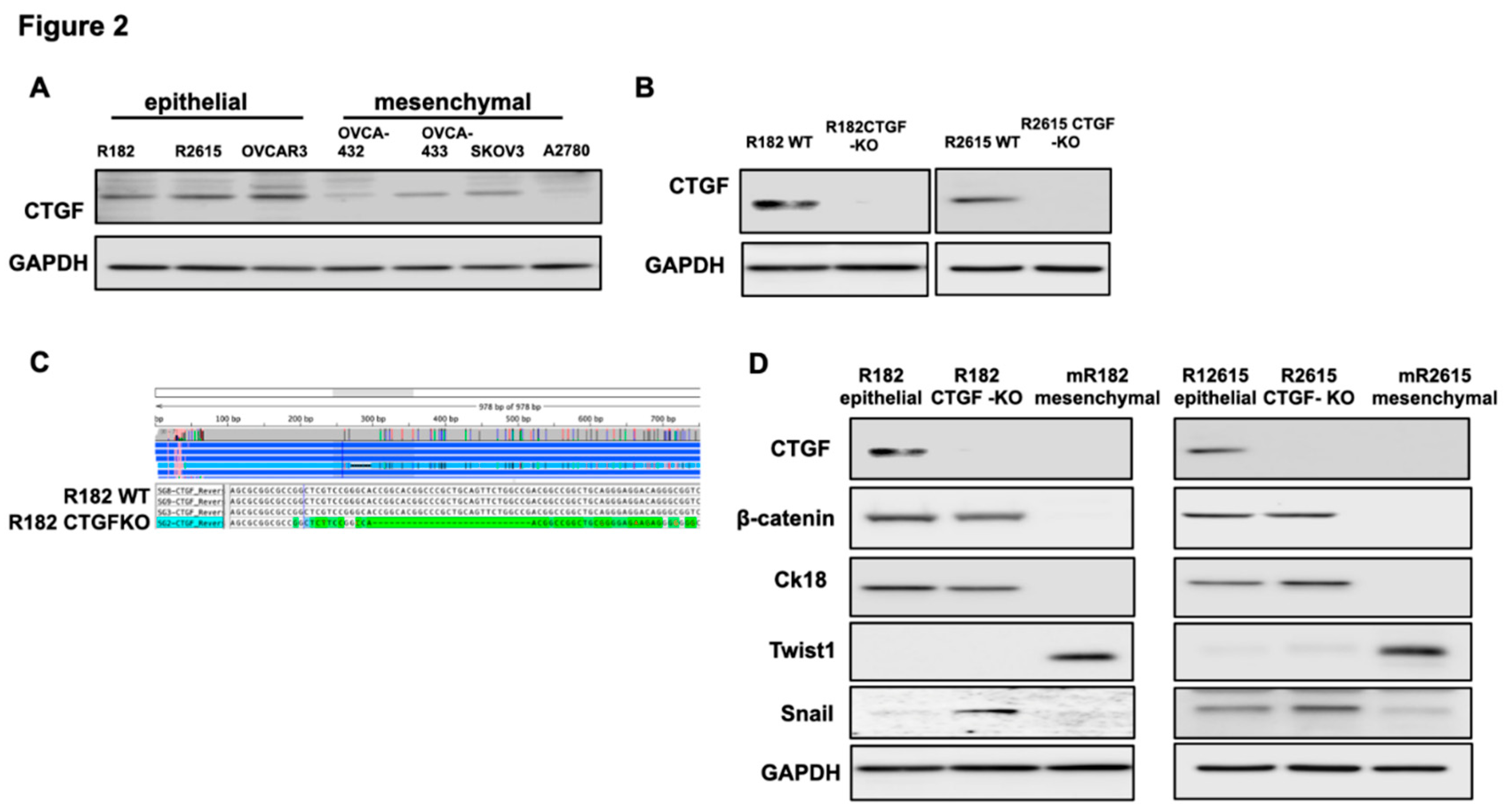 Preprints 83499 g002