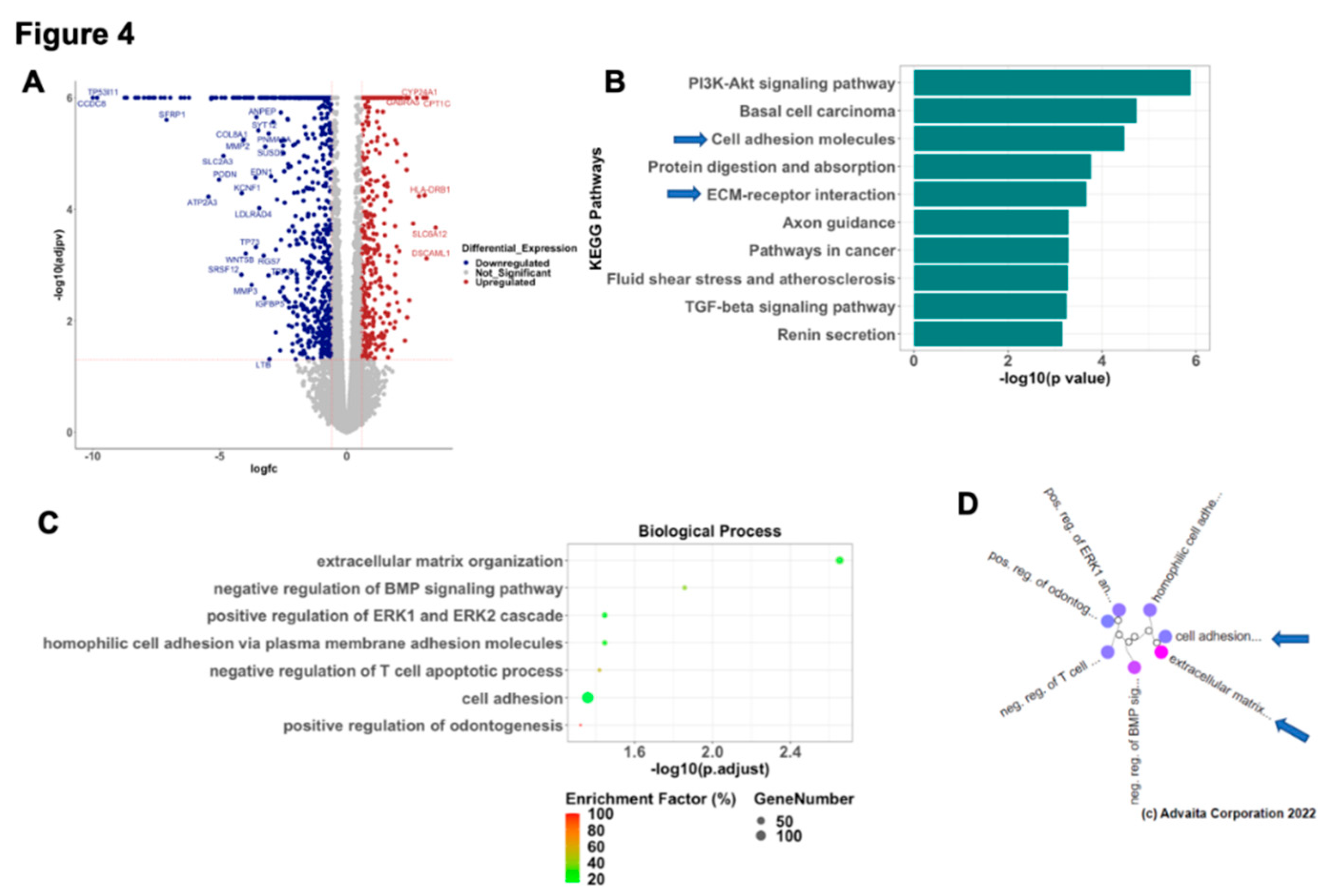 Preprints 83499 g004