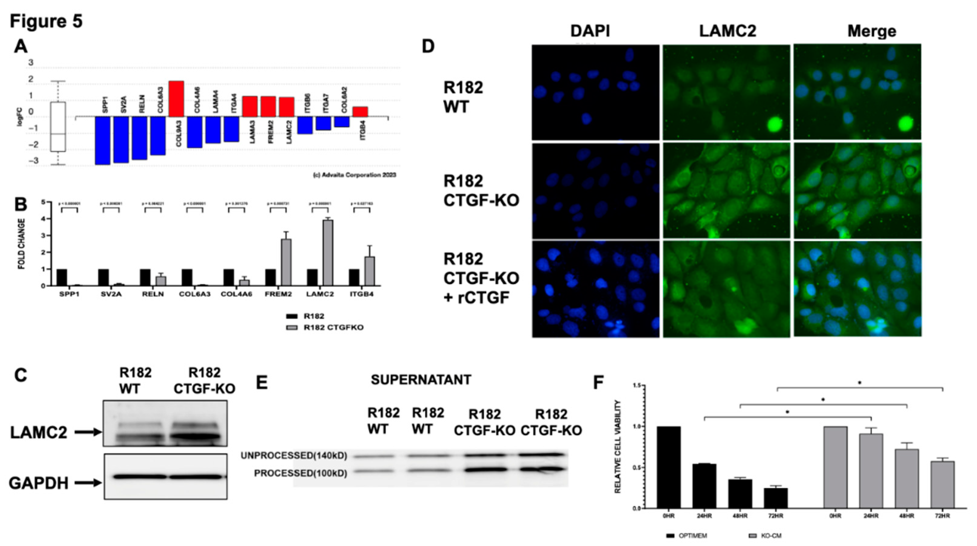 Preprints 83499 g005