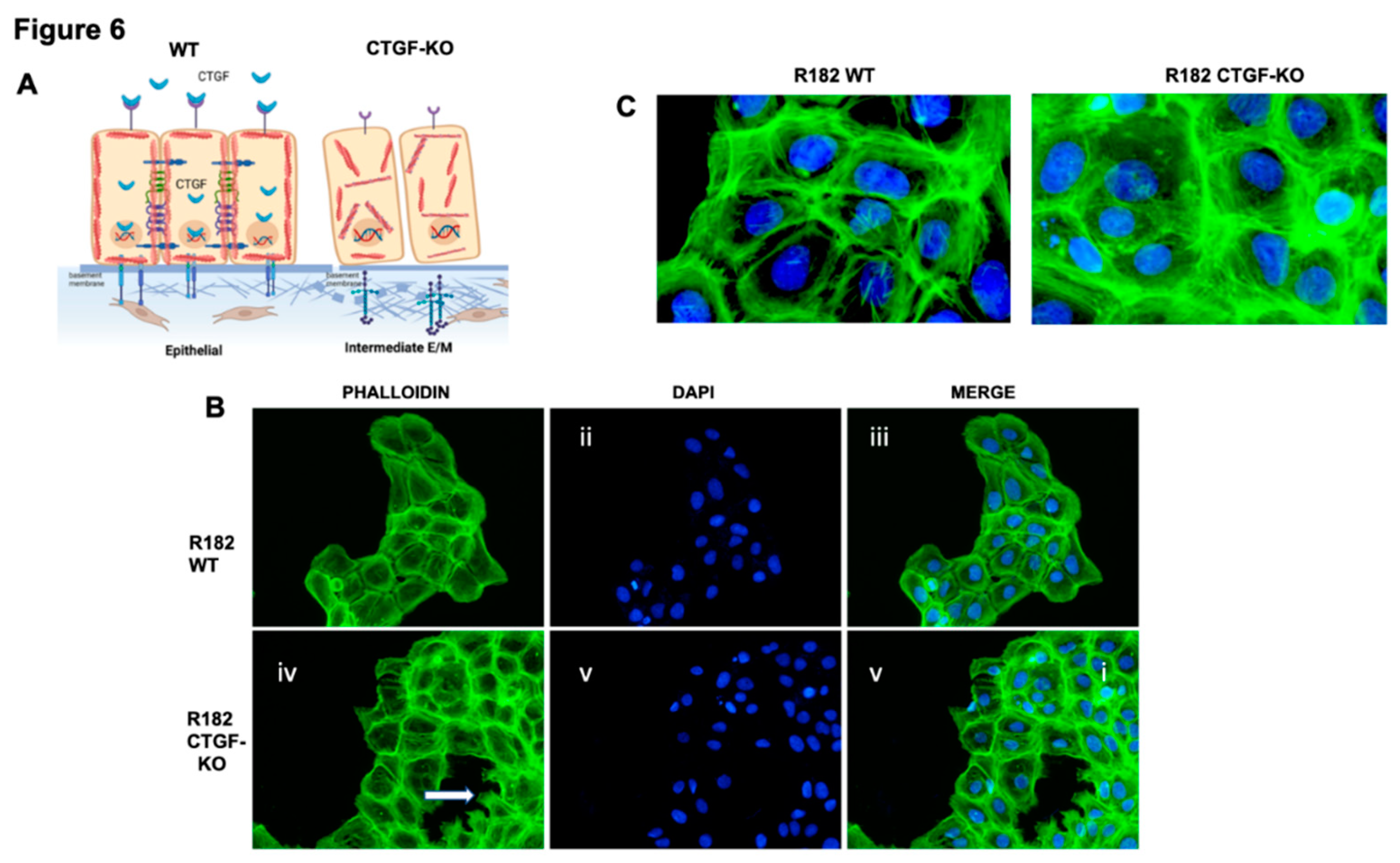 Preprints 83499 g006