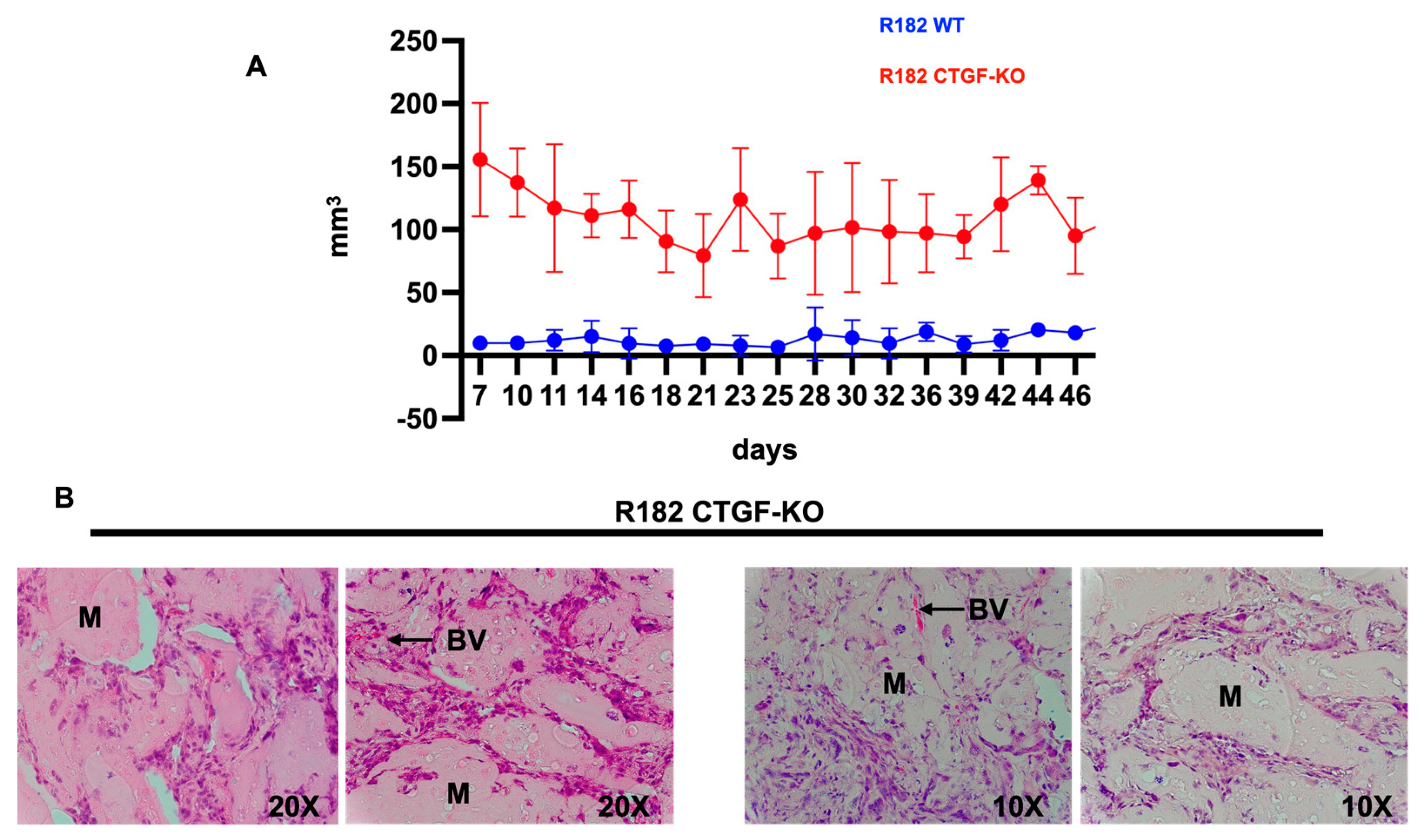 Preprints 83499 g008