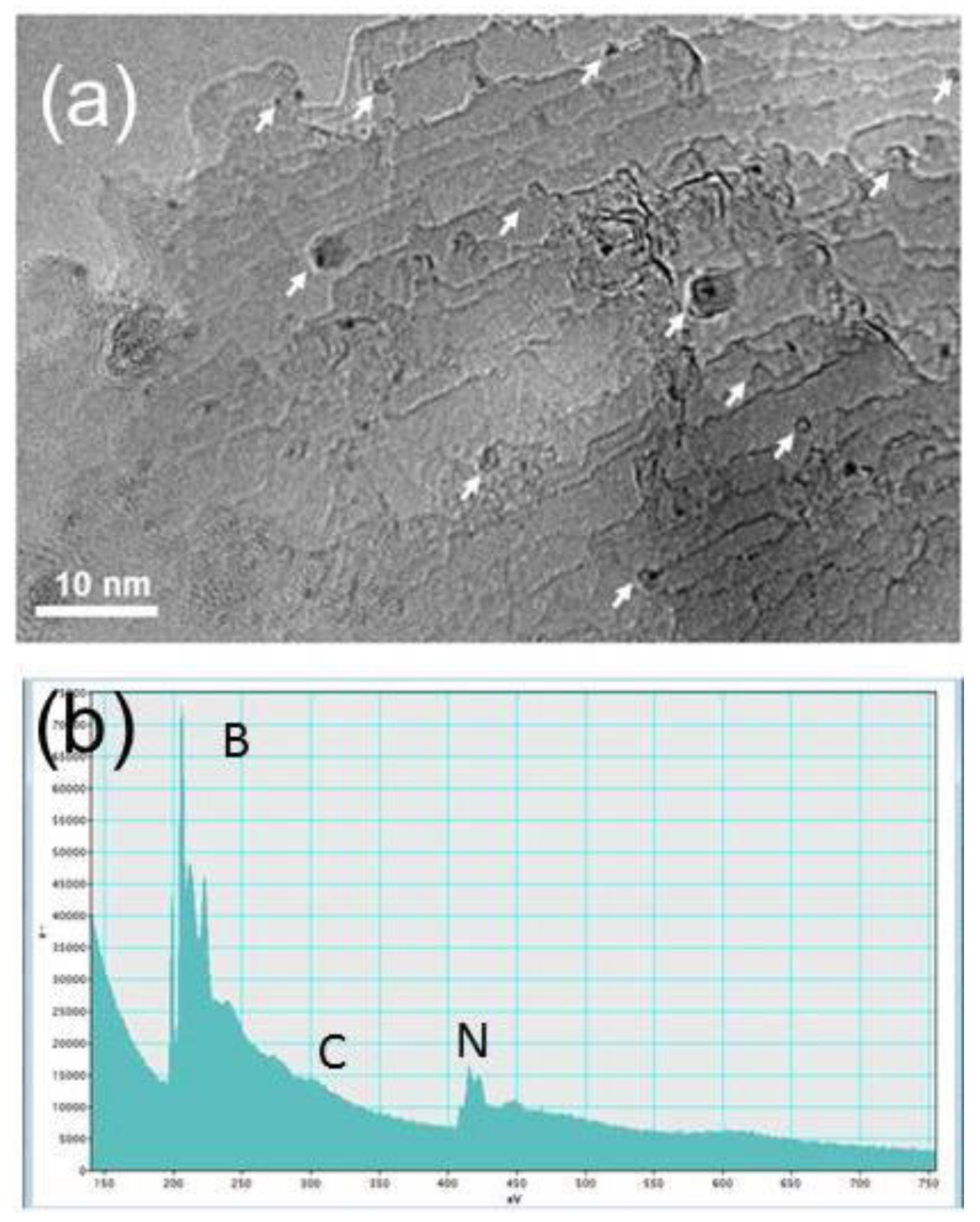 Preprints 85261 g002