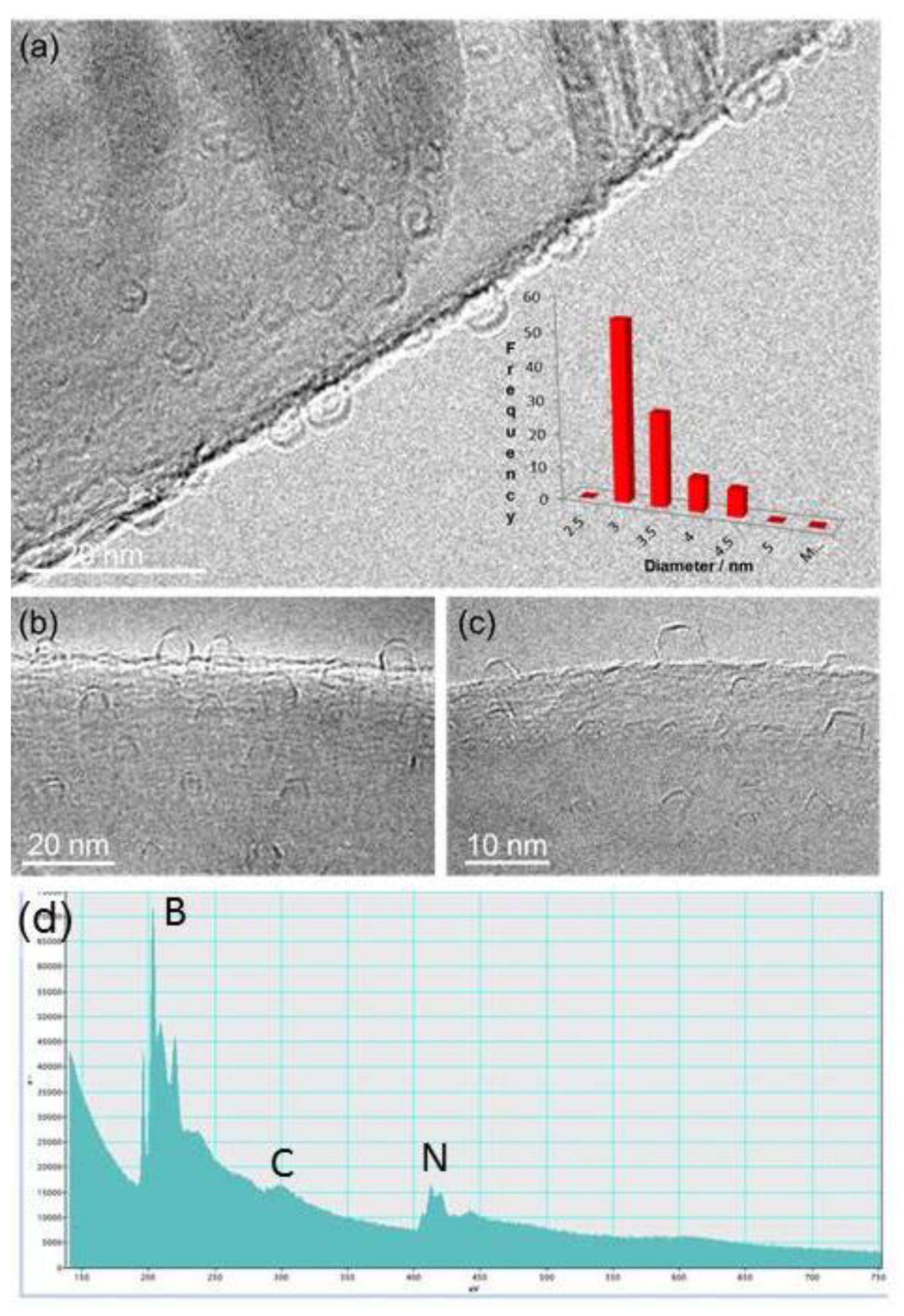 Preprints 85261 g003