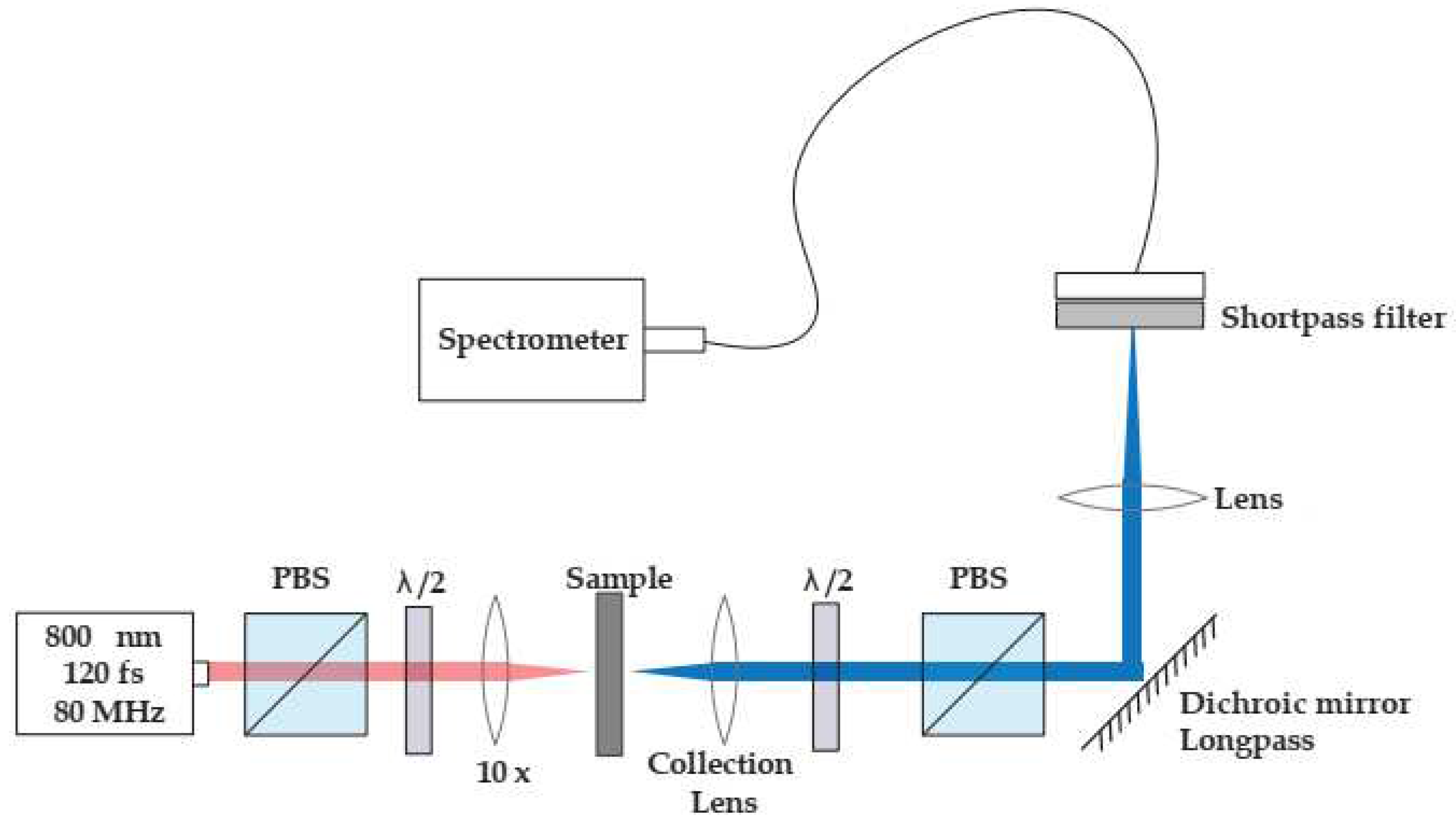 Preprints 69662 g002