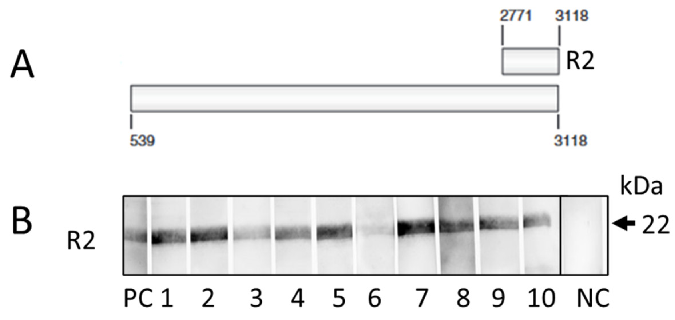 Preprints 110006 g001