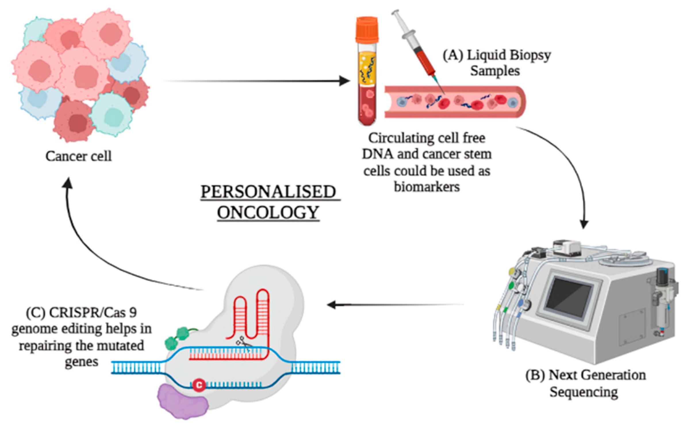 Preprints 110499 g004