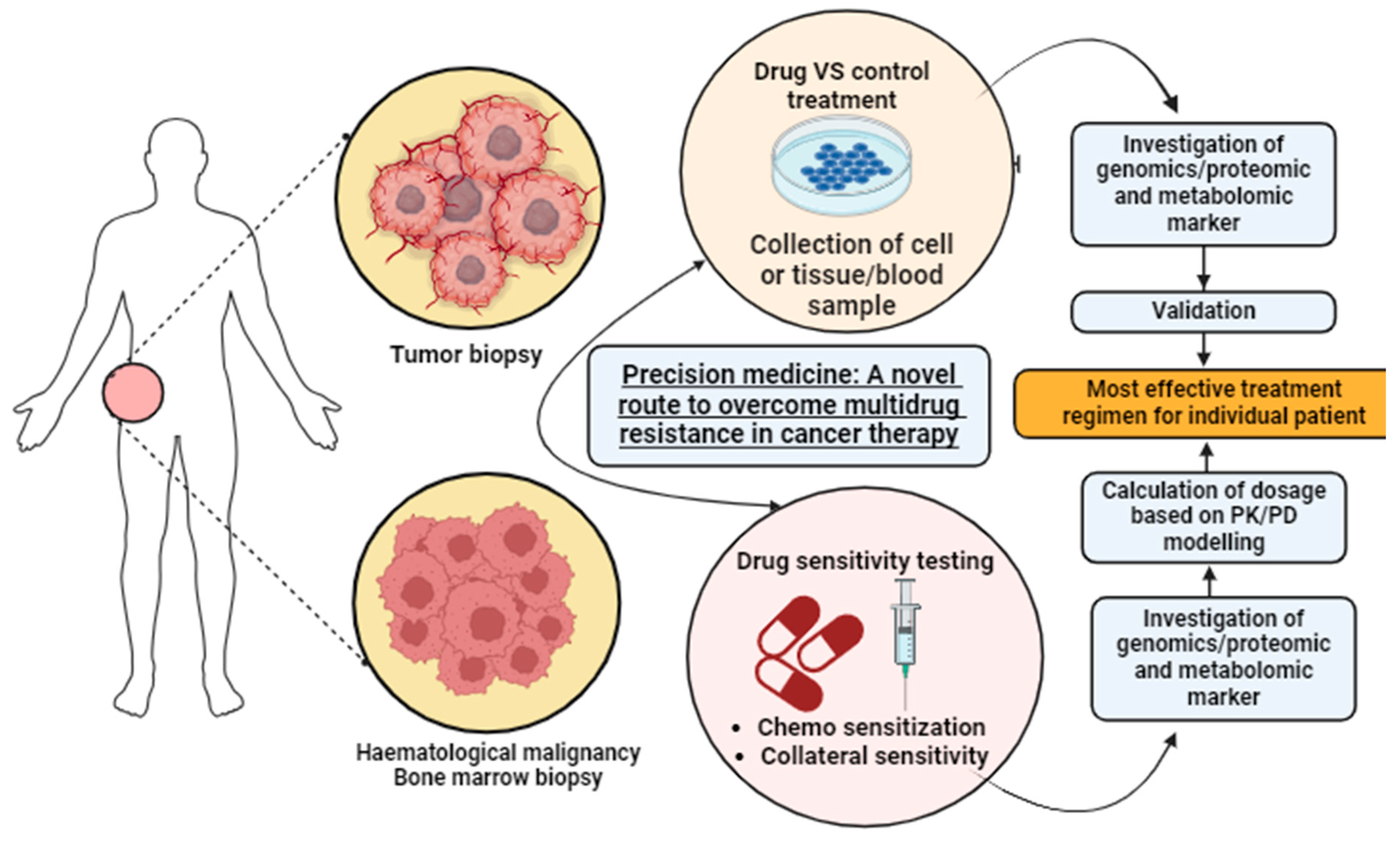 Preprints 110499 g005