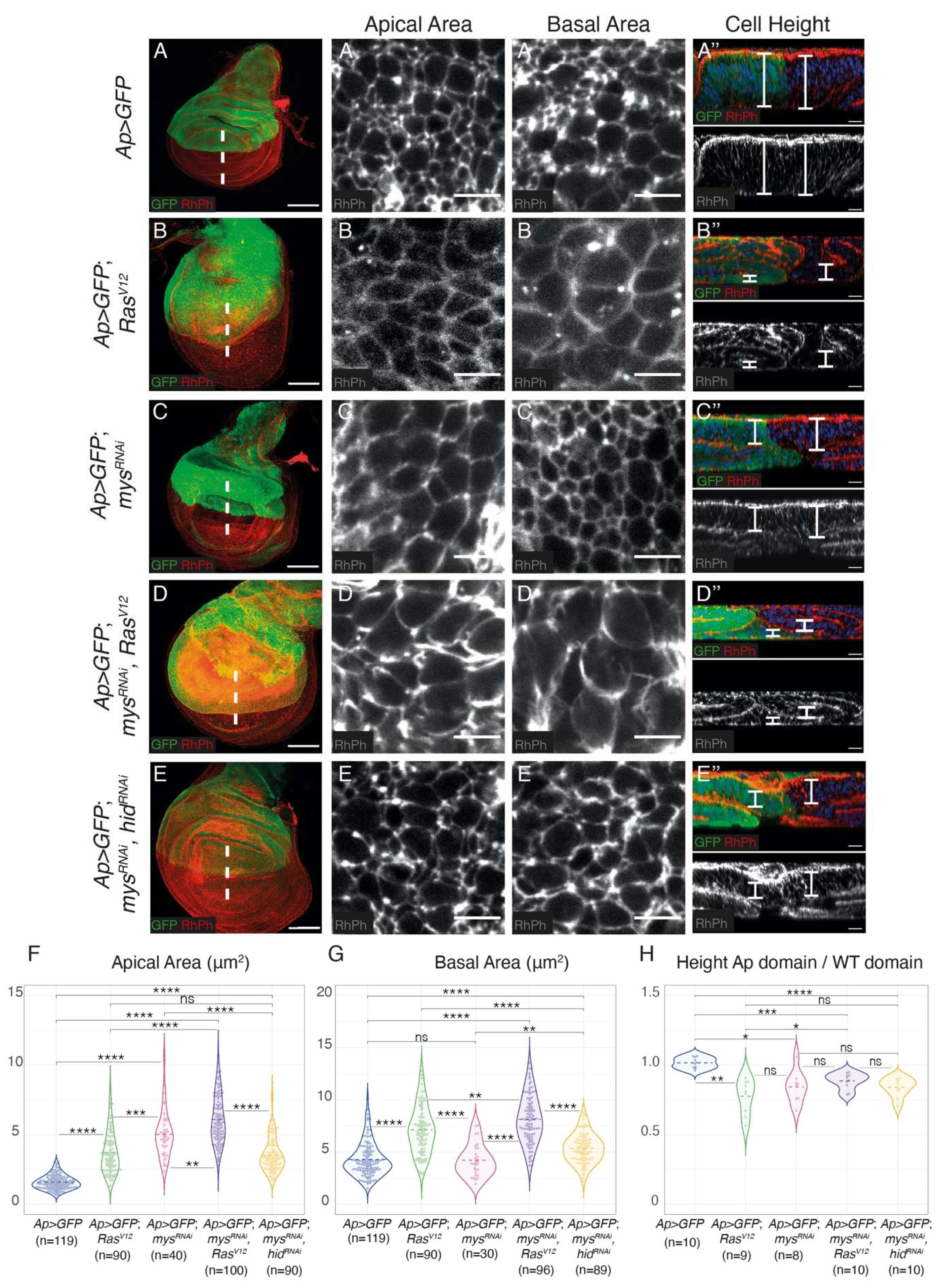 Preprints 87095 g002