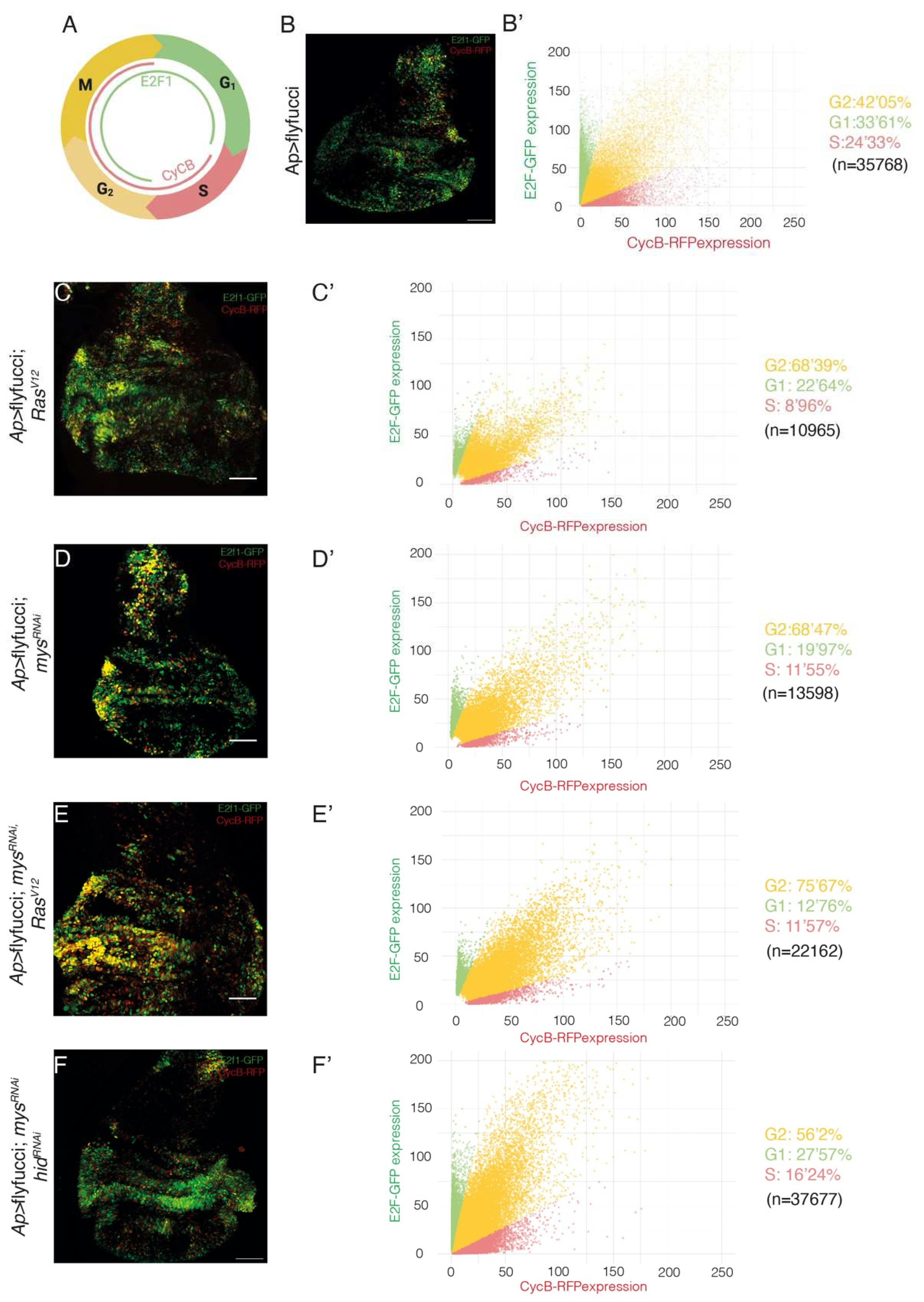 Preprints 87095 g003