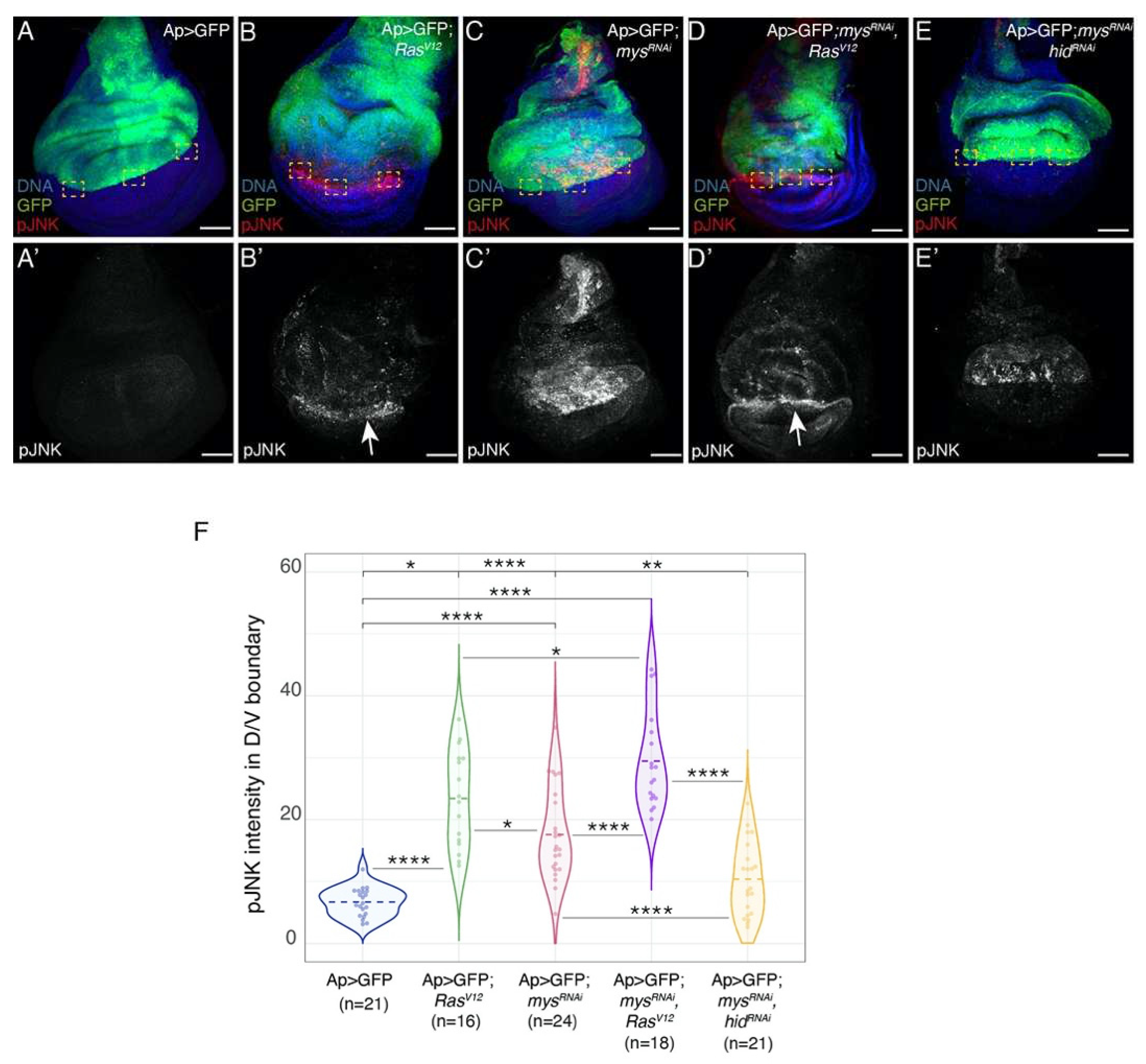 Preprints 87095 g004