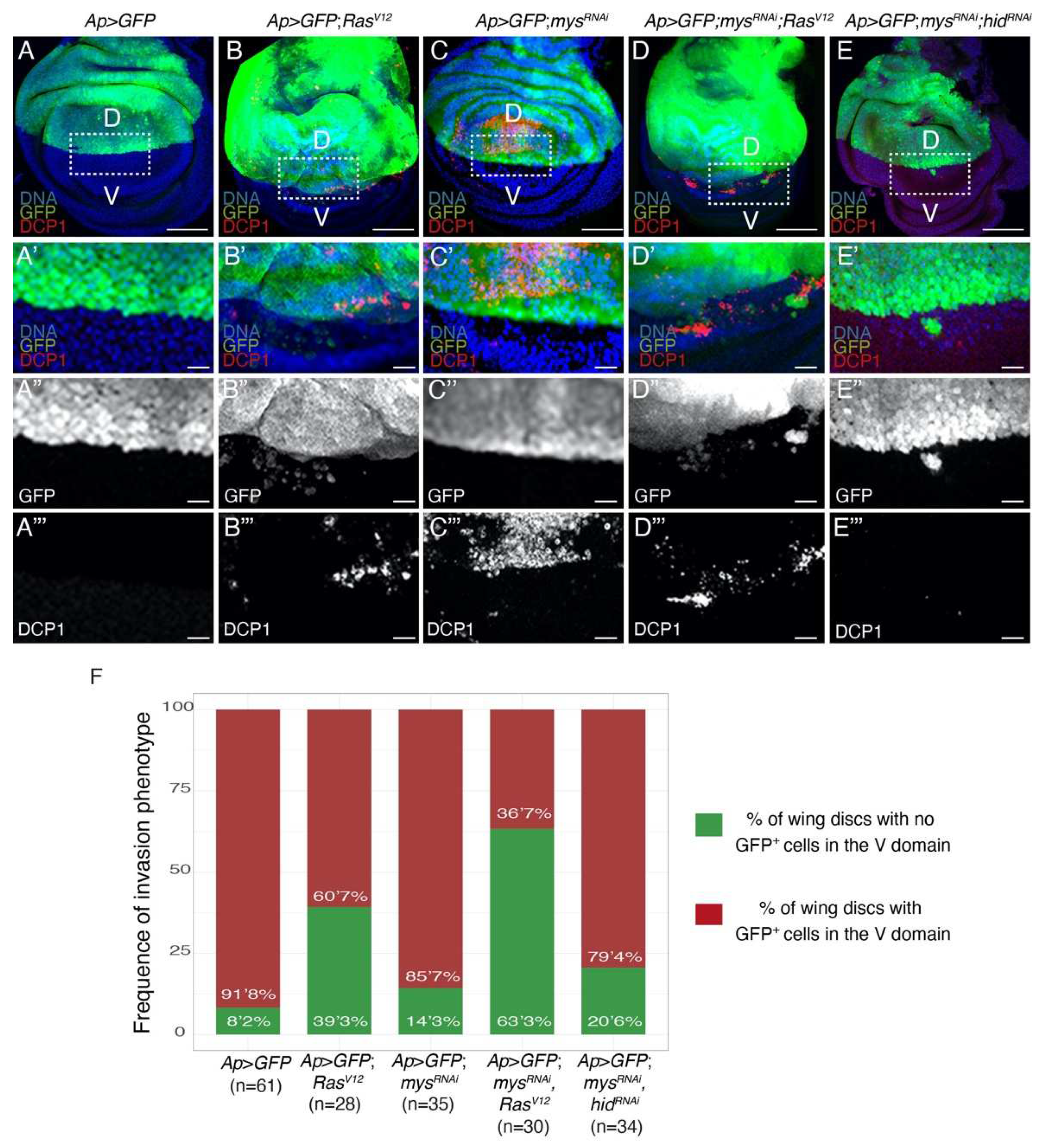 Preprints 87095 g005