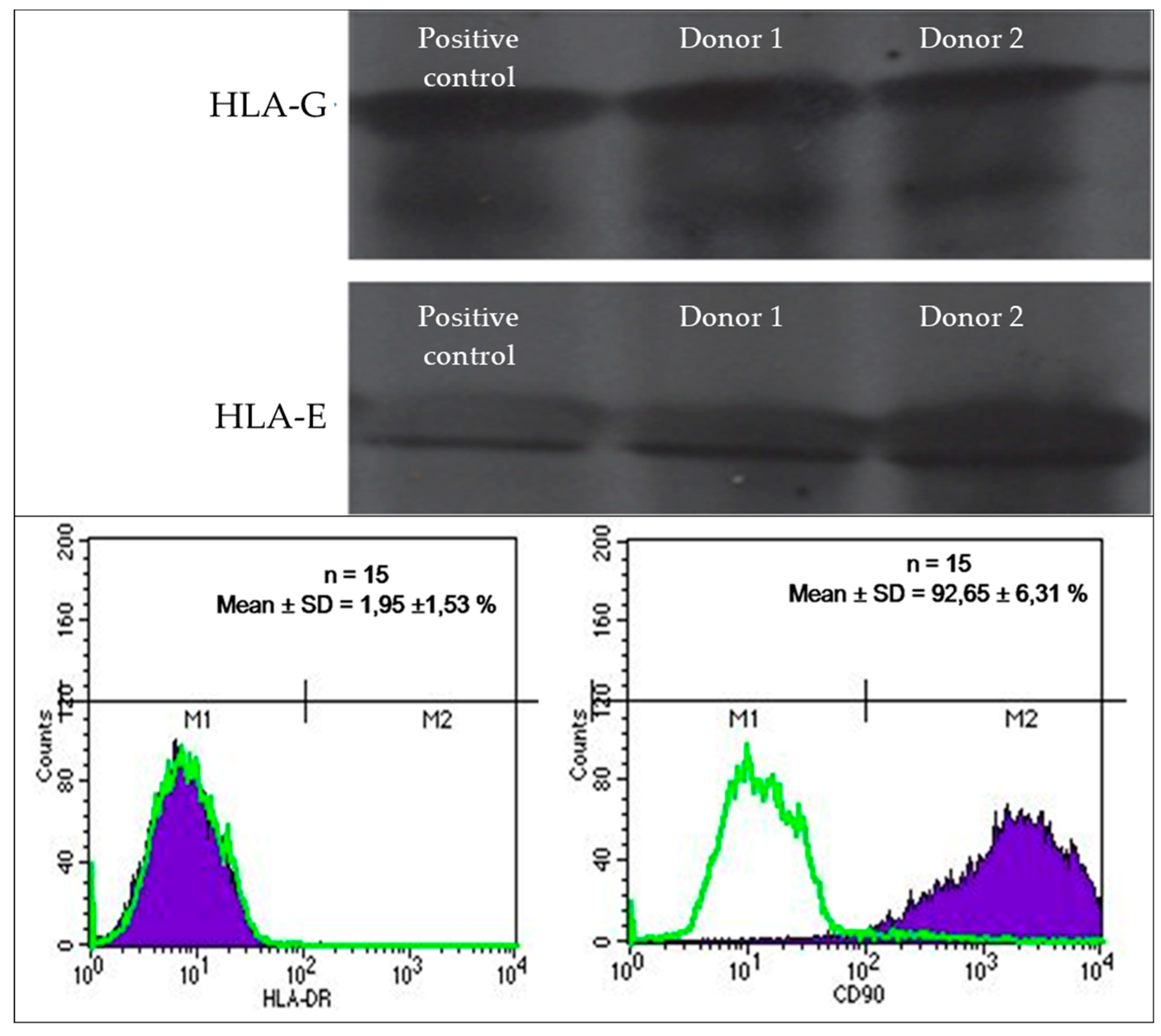 Preprints 77800 g002