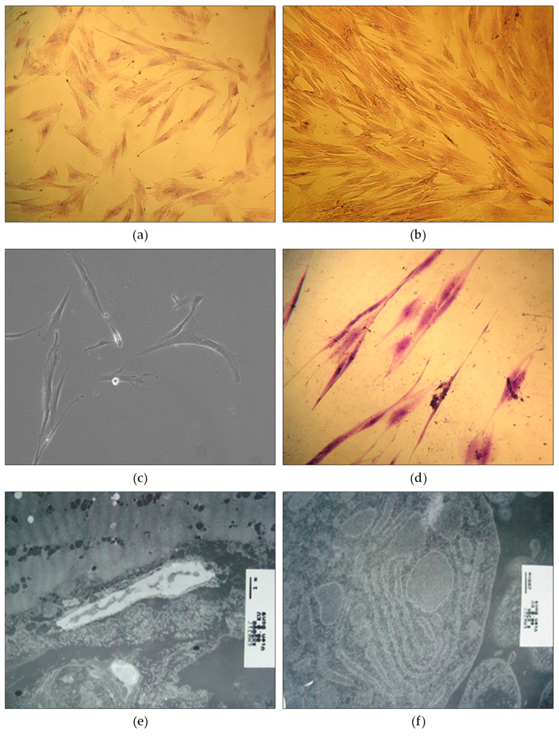 Preprints 77800 g003