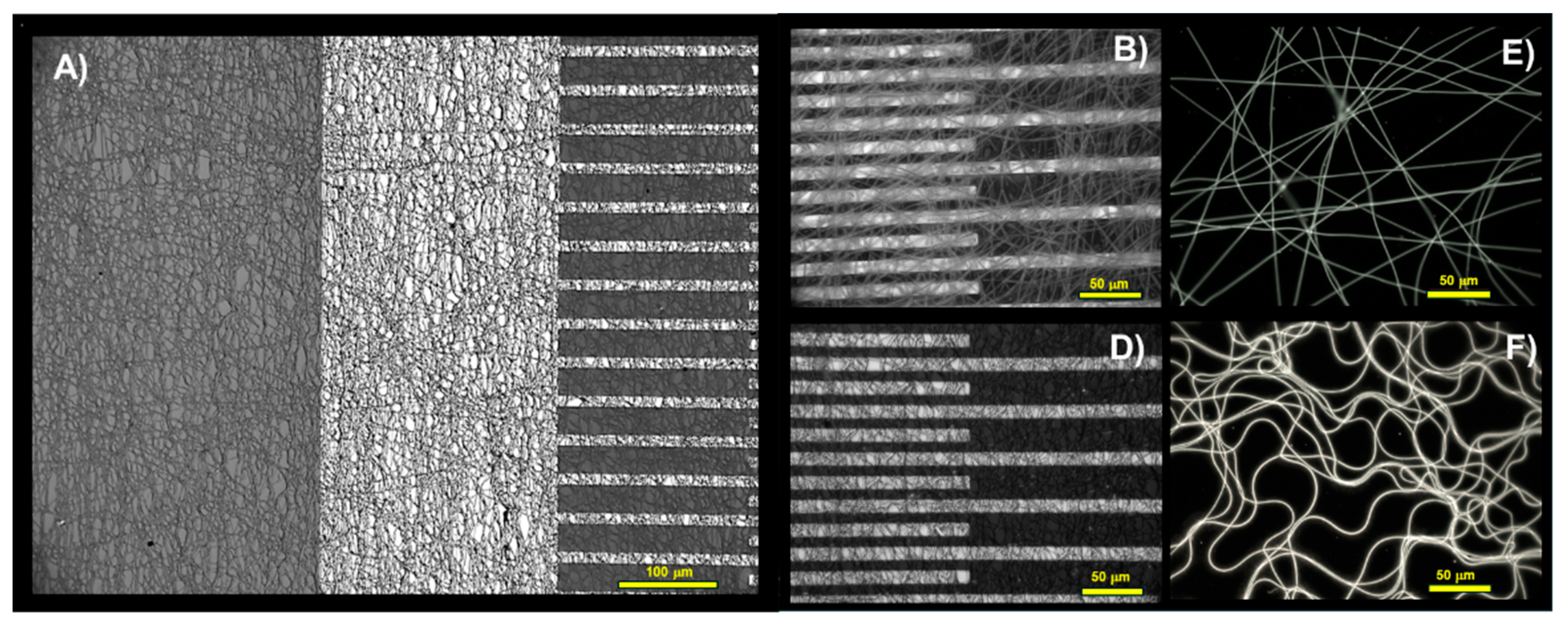 Preprints 100827 g004