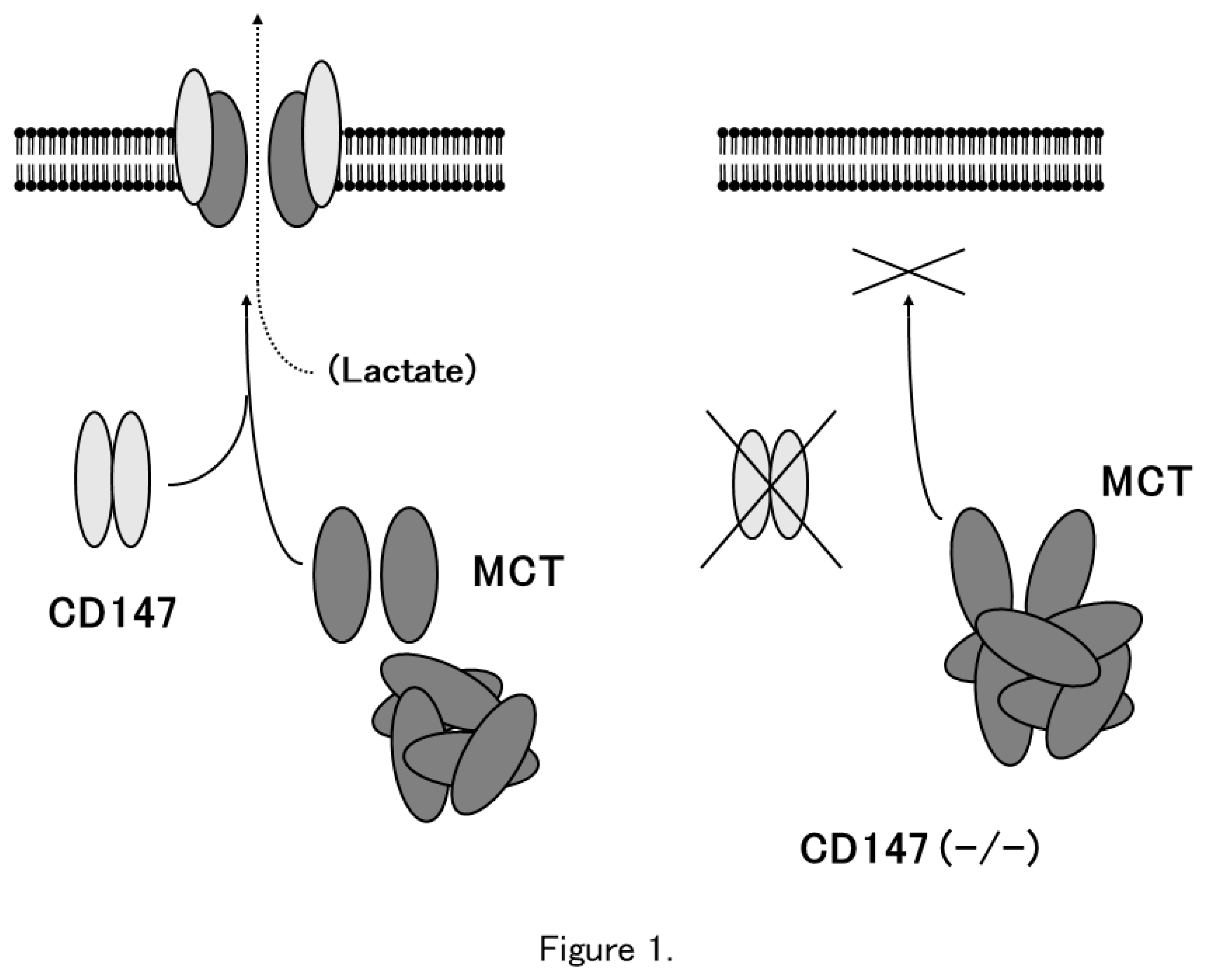 Preprints 90203 g001