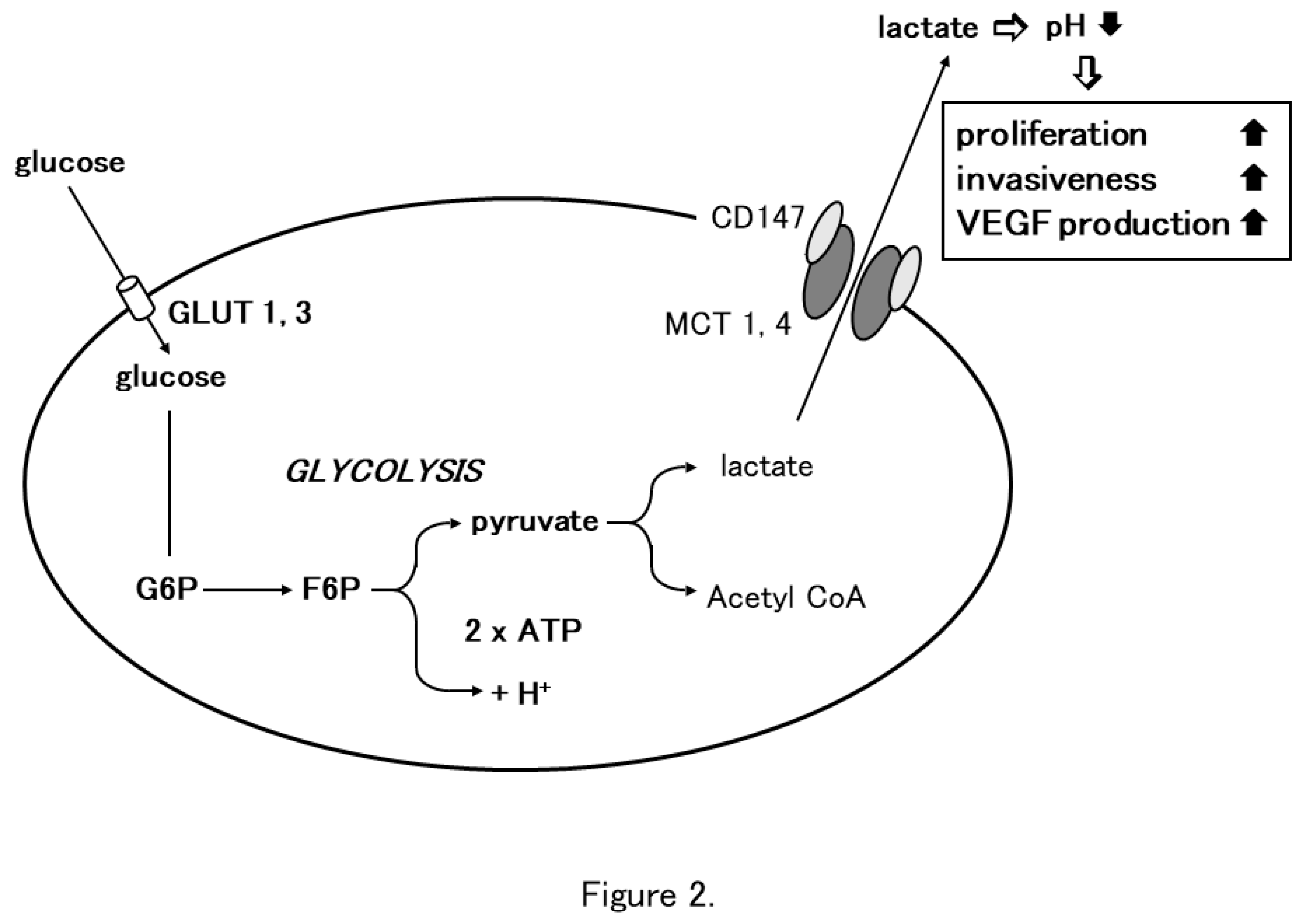 Preprints 90203 g002